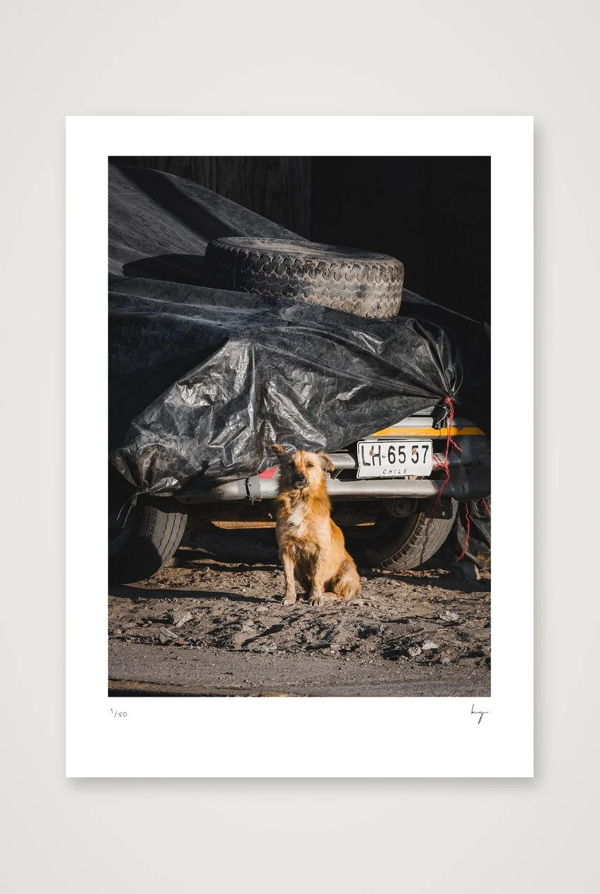 EL PERRO