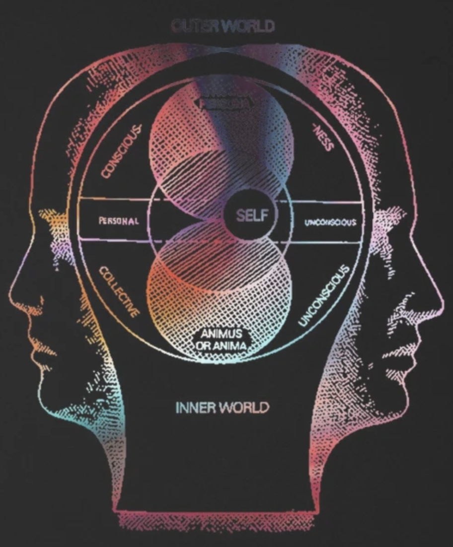 Diagram of two profile illustrations of human heads facing opposite directions with a detailed inner mind map inside the head on the left. The mind map includes sections labeled self, conscious, unconscious, personal, collective, anima or anima, and terms like outer world and inner world, presented with colorful lines on a dark background.