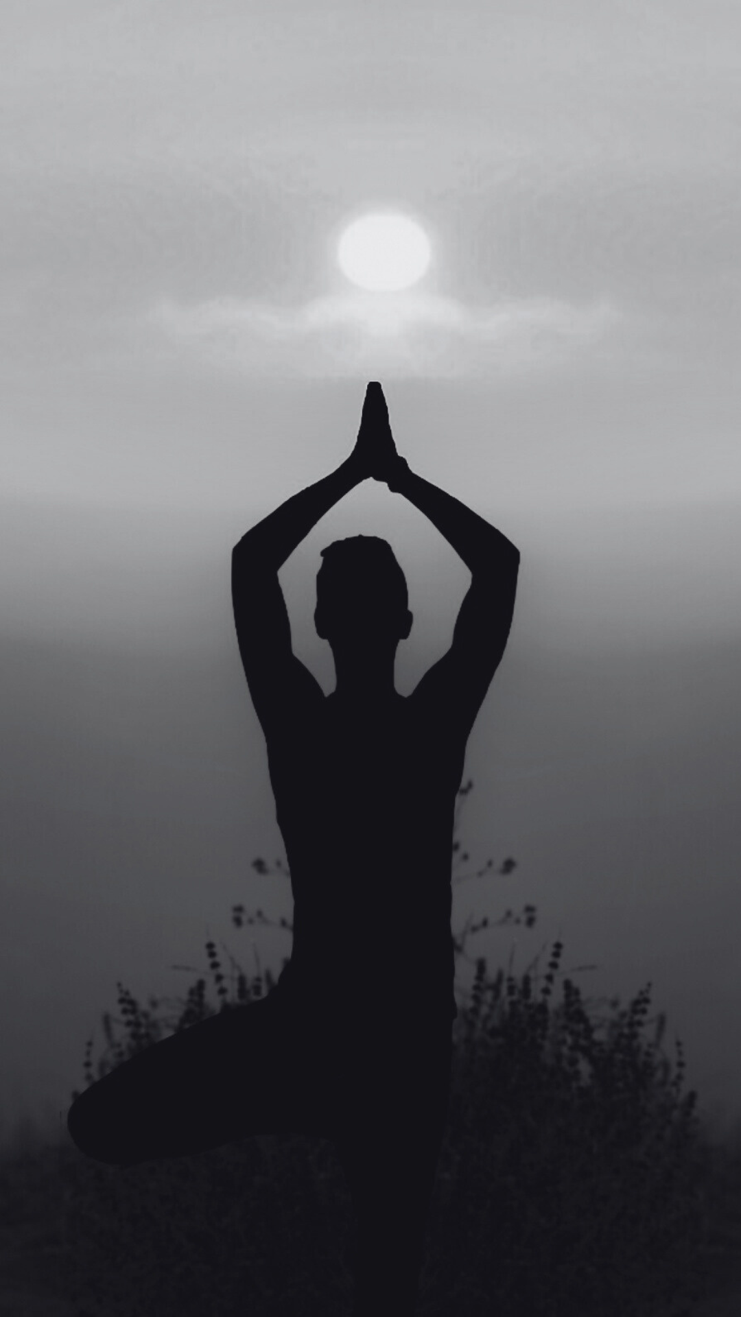 60-Minute 1:1 Power (or) Jungian Vinyasa Session