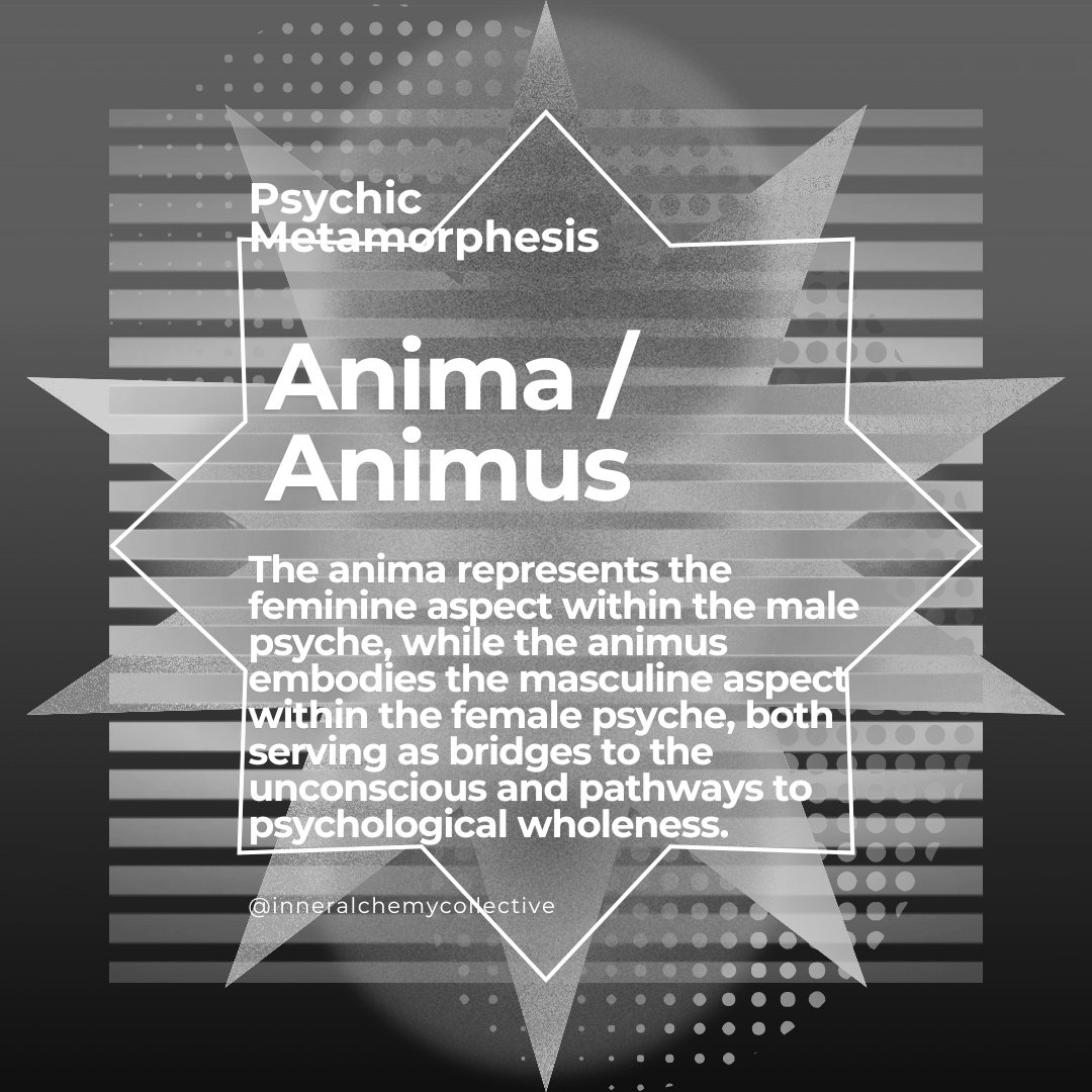 Graphic with the title 'Psychic Metamorphosis' and the words 'Anima / Animus'. Includes a description about the feminine and masculine aspects within the psyche, surrounded by star and dotted patterns.
