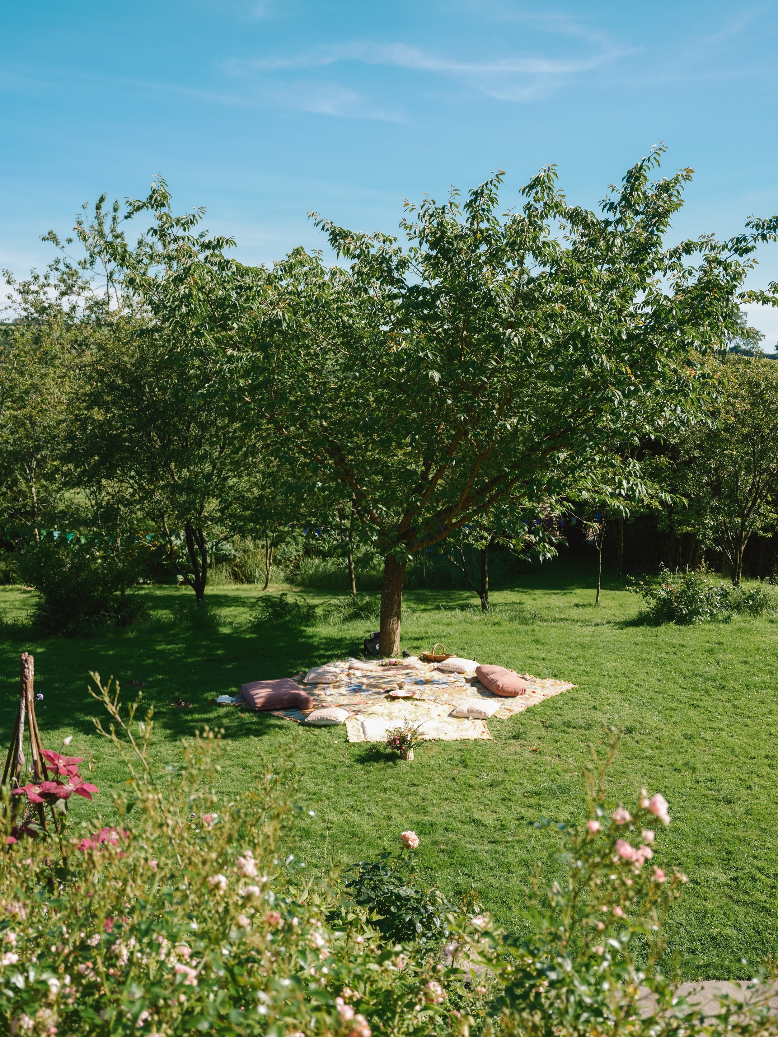 A picnic setup on a blanket with pillows and food on a lush green lawn under a large tree in a park or garden.