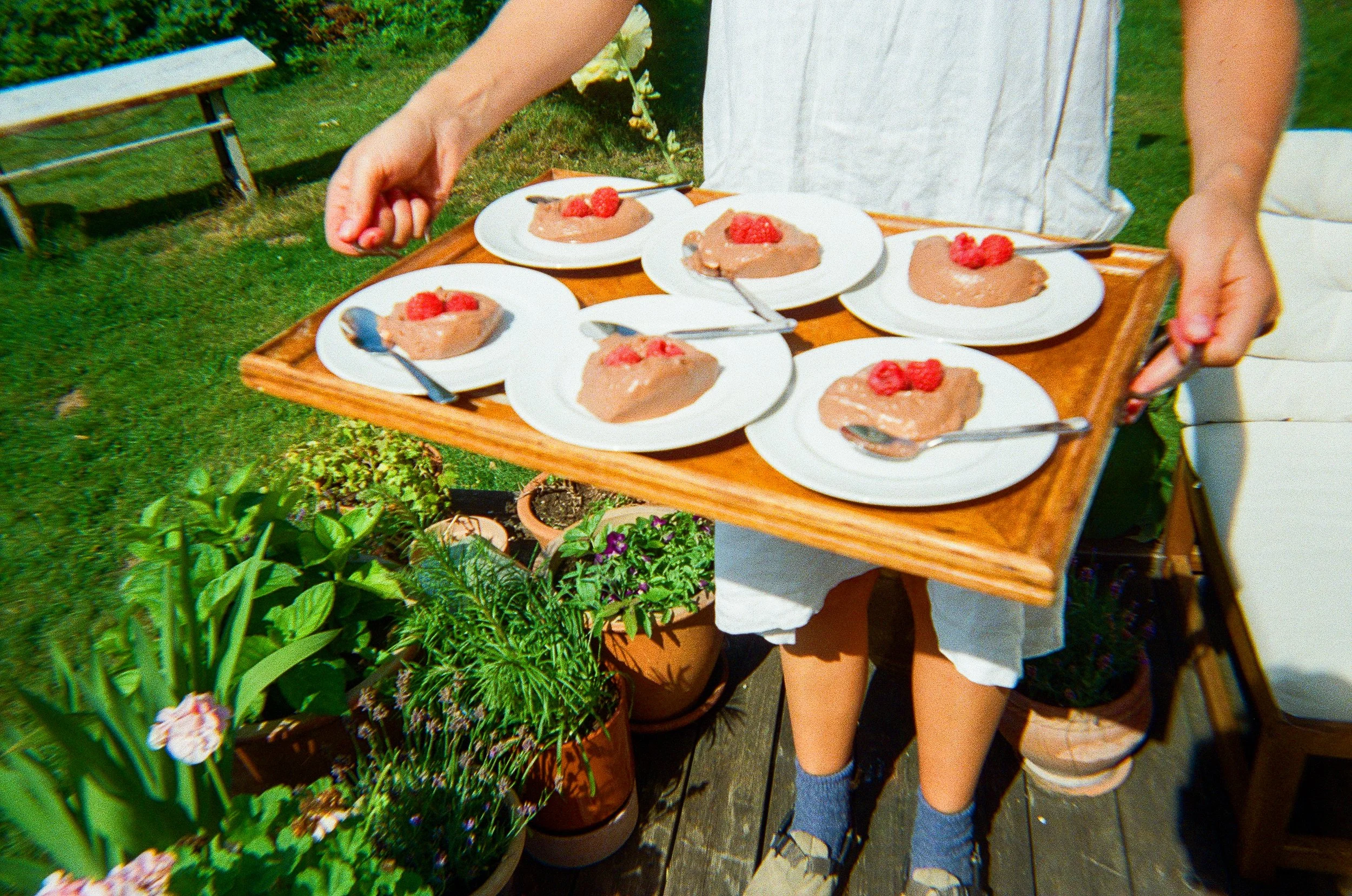 Person holding a wooden tray with six plates of chocolate mousse garnished with raspberries, set outdoors on a patio with potted plants and garden in background.