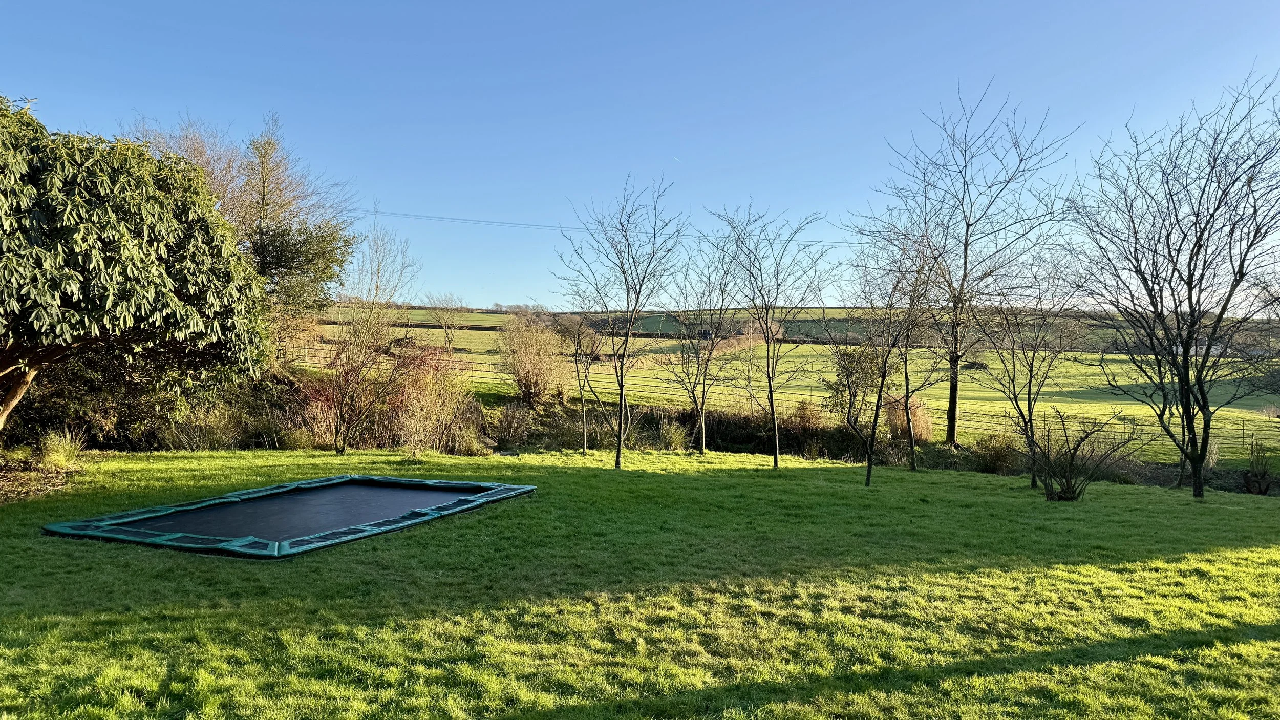Backyard with a trampoline on green grass, surrounded by trees and open fields under a clear blue sky.