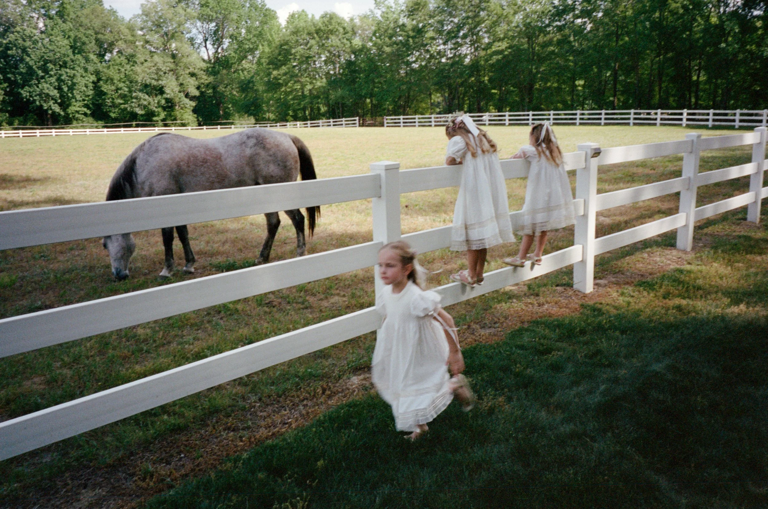 C&T Wedding-1001.jpg