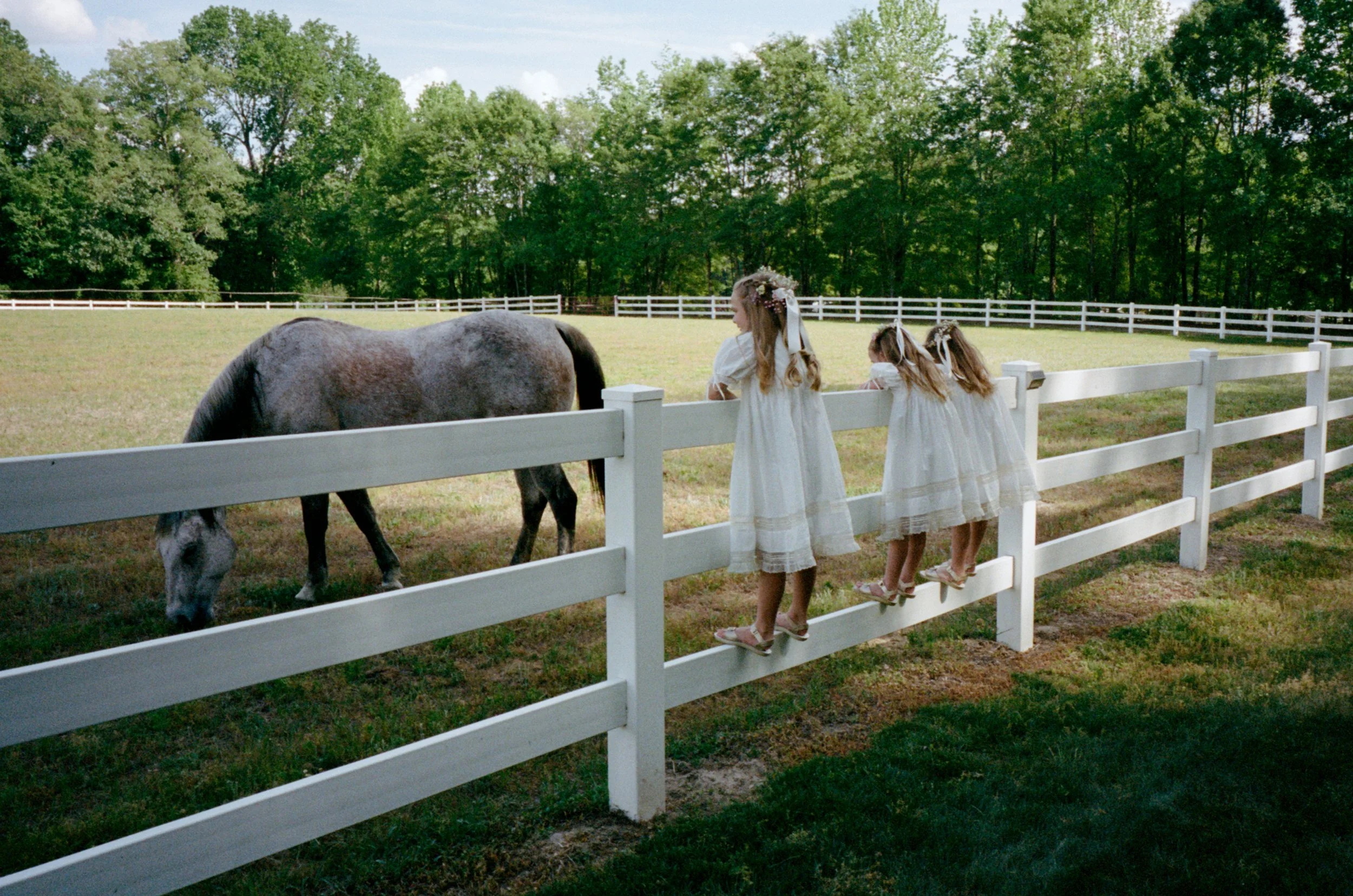 C&T Wedding-998.jpg