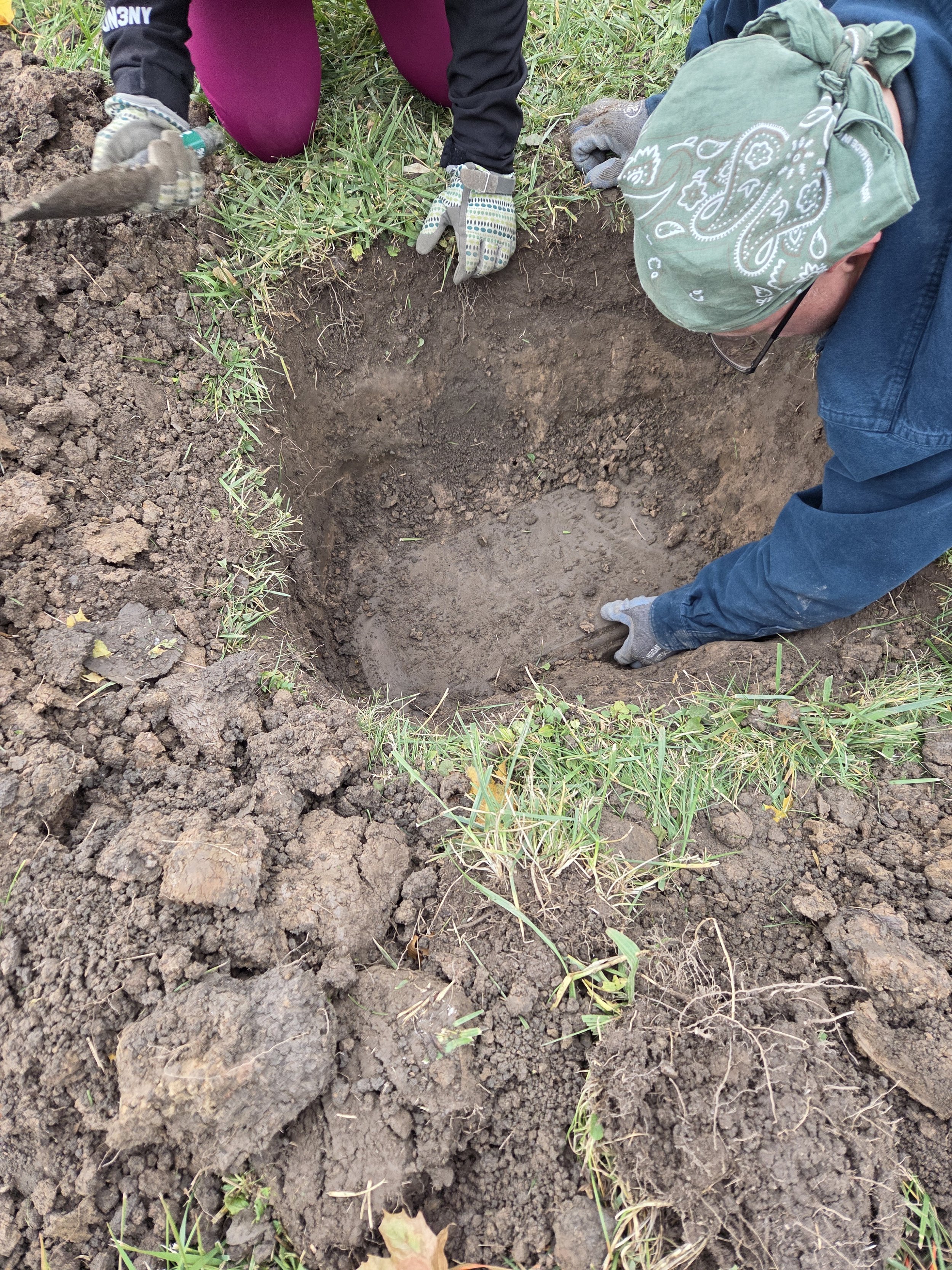 Let's Dig!