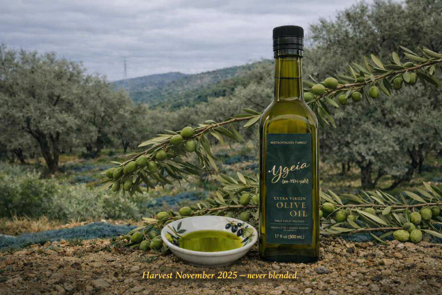 Bottle of Ygeia Extra Virgin Olive Oil in a Metropoulos family olive grove with gold text reading “Harvest November 2025 — never blended.”