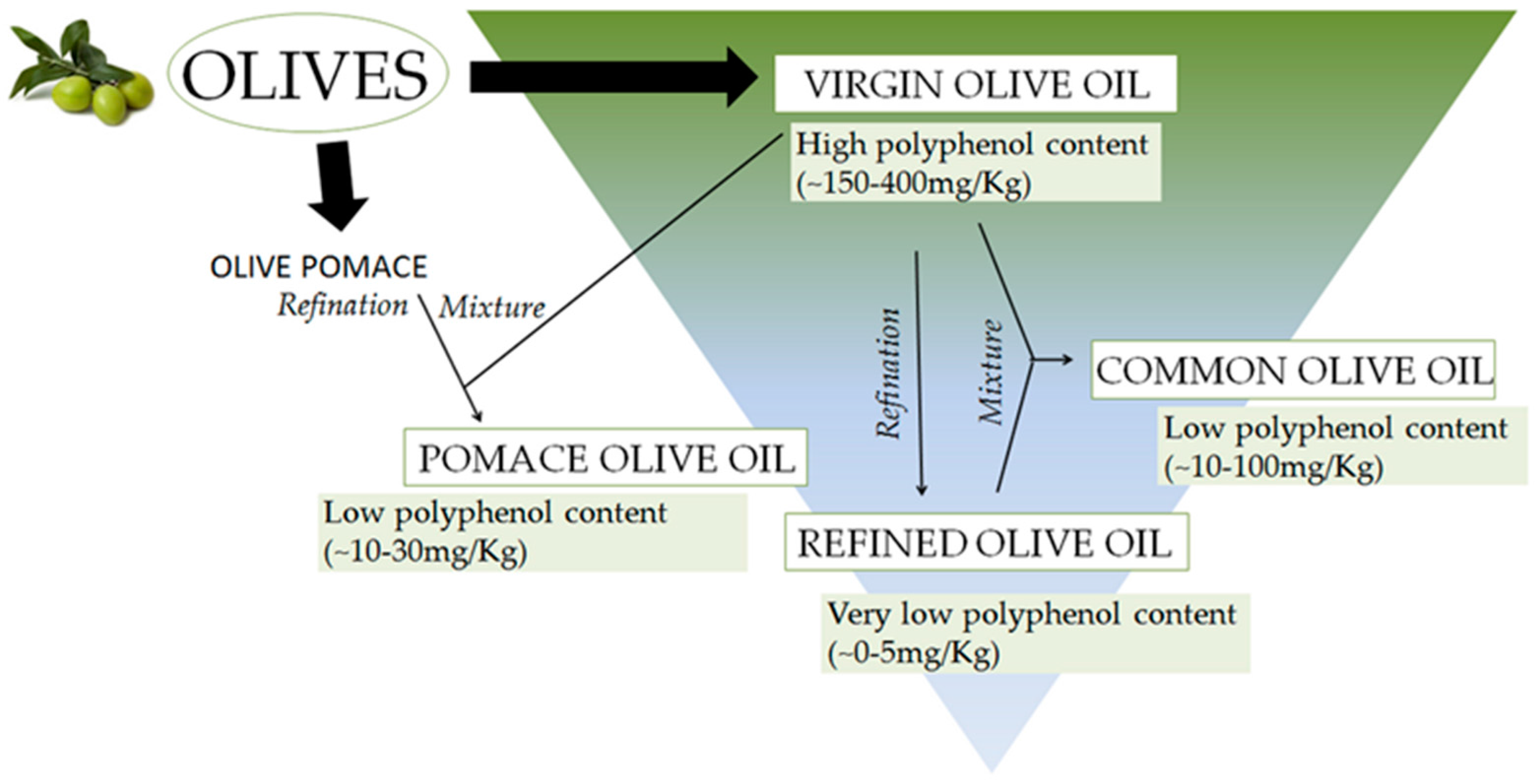 Flowchart showing how olive oil types differ by processing and polyphenol levels, with high‑polyphenol oils like ours at 353 mg/kg.. source:  https://pmc.ncbi.nlm.nih.gov/articles/PMC5877547/