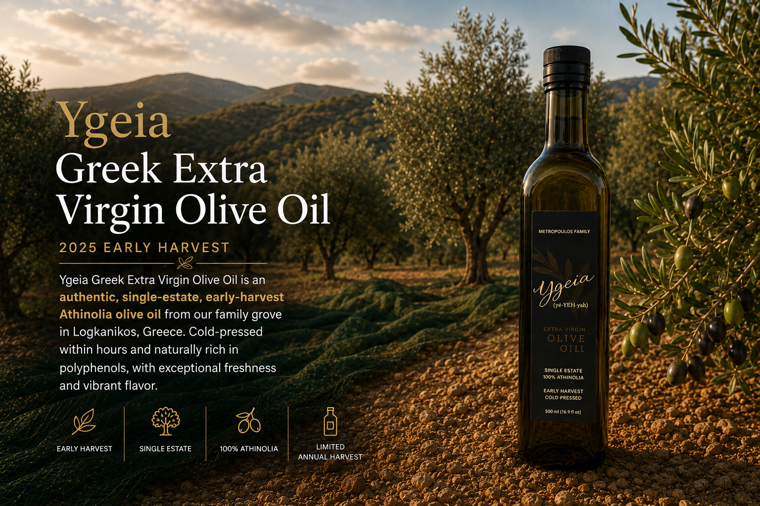 Ygeia Greek Extra Virgin Olive Oil bottle in a Mediterranean olive grove, highlighting authentic single-estate, early-harvest Athinolia olive oil from Logkanikos, Greece.