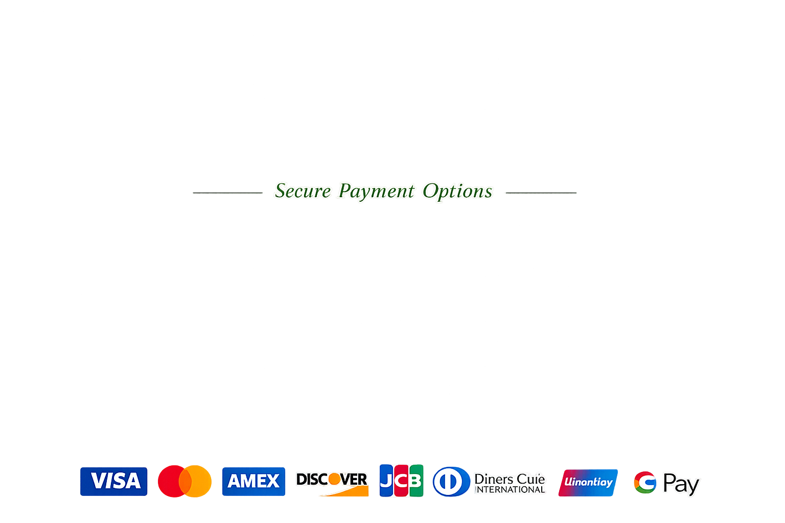 Accepted payment methods including Visa, Mastercard, AMEX, Discover, JCB, Diners Club, UnionPay, Apple Pay, and Google Pay.