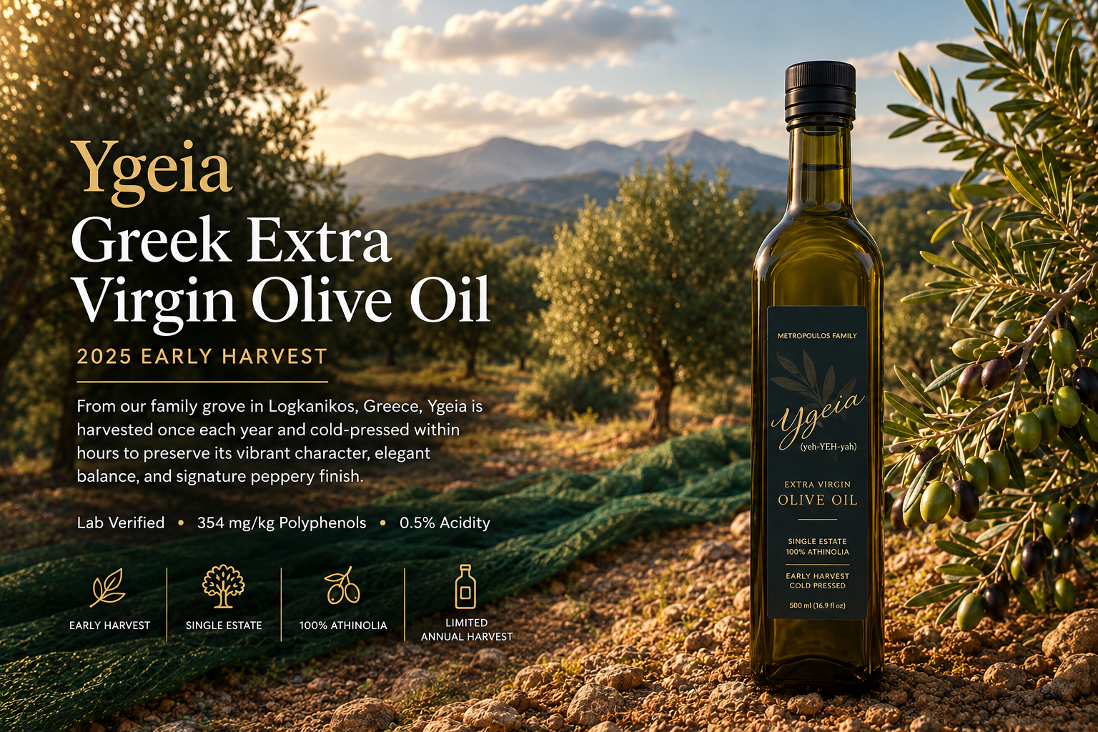 Ygeia Greek extra virgin olive oil bottle in a sunlit Greek olive grove, highlighting the 2025 early harvest, 100% Athinolia olives, single-estate origin, 354 mg/kg polyphenols, and 0.5% acidity.