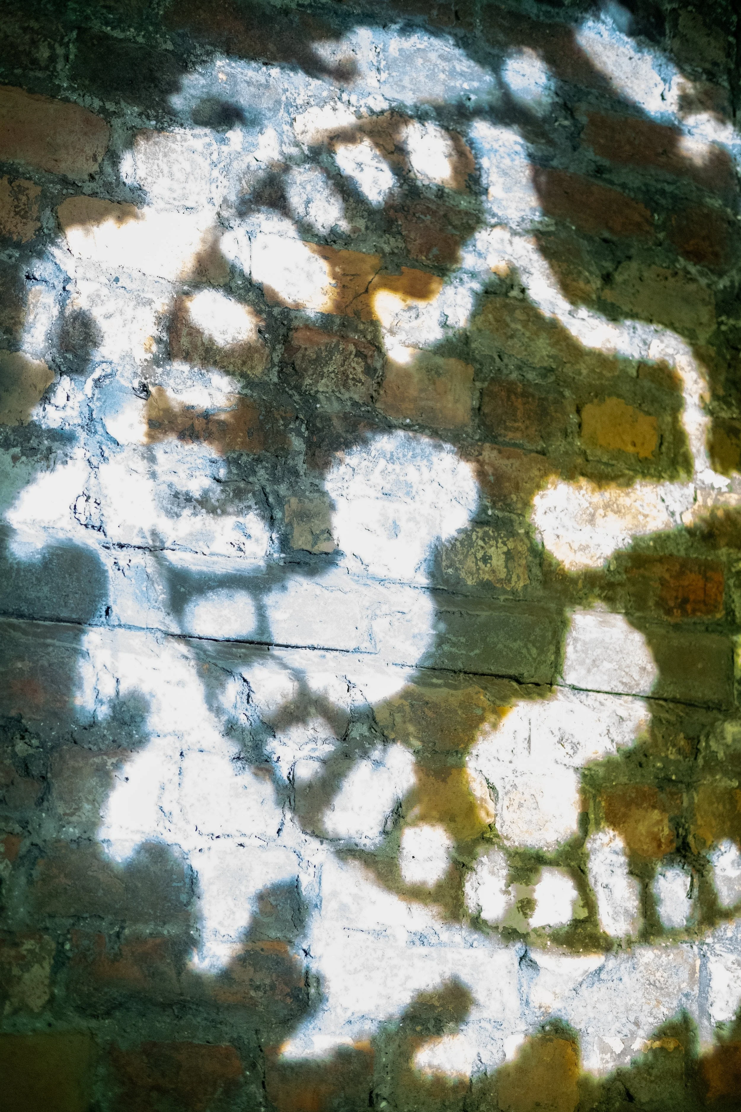 visuals portrait .jpg