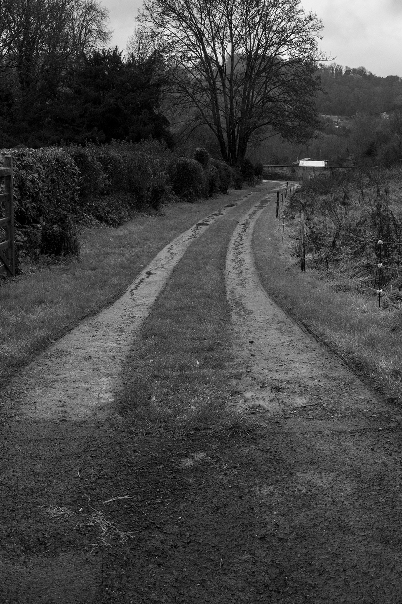 rural path 2 .jpg