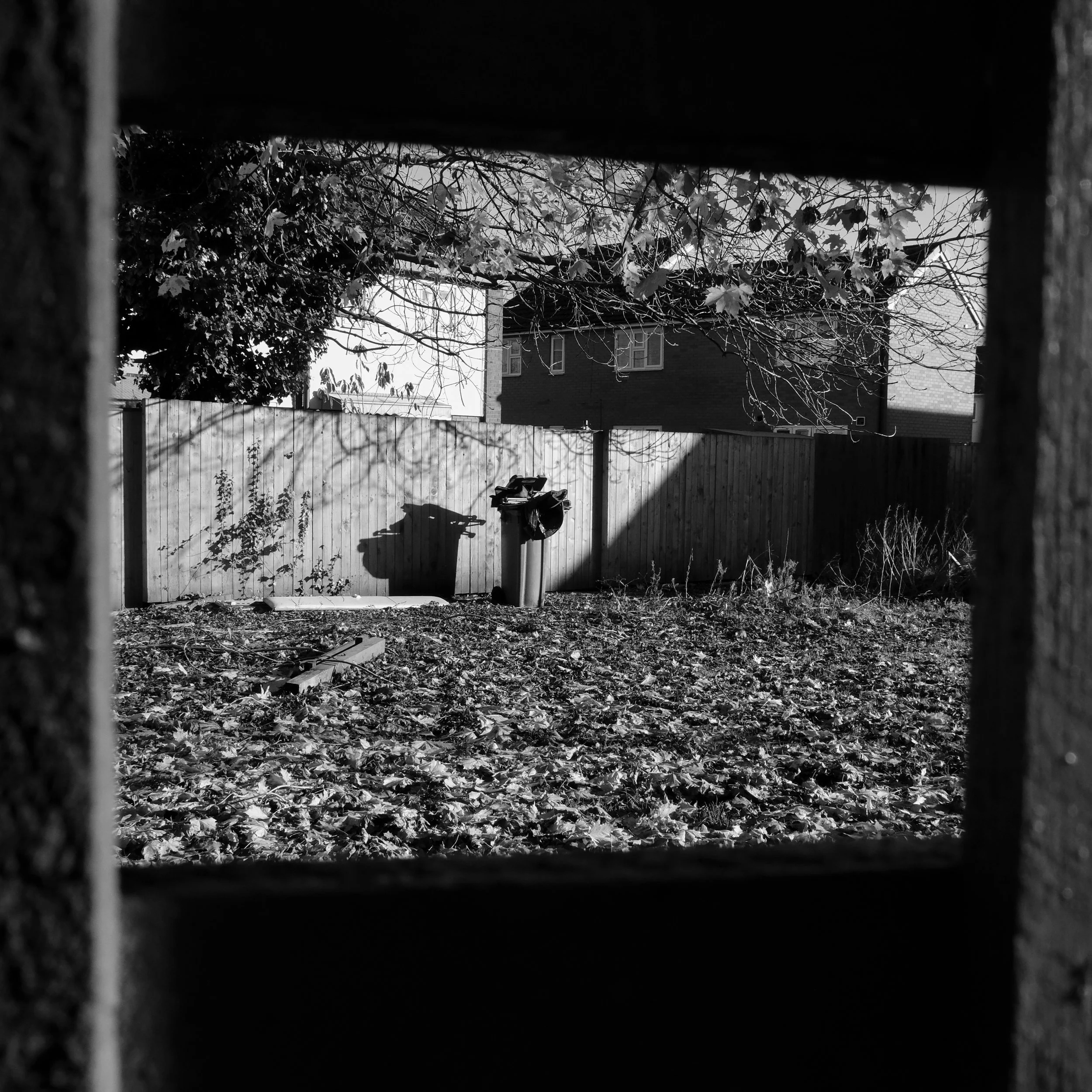 bin through fence .jpg