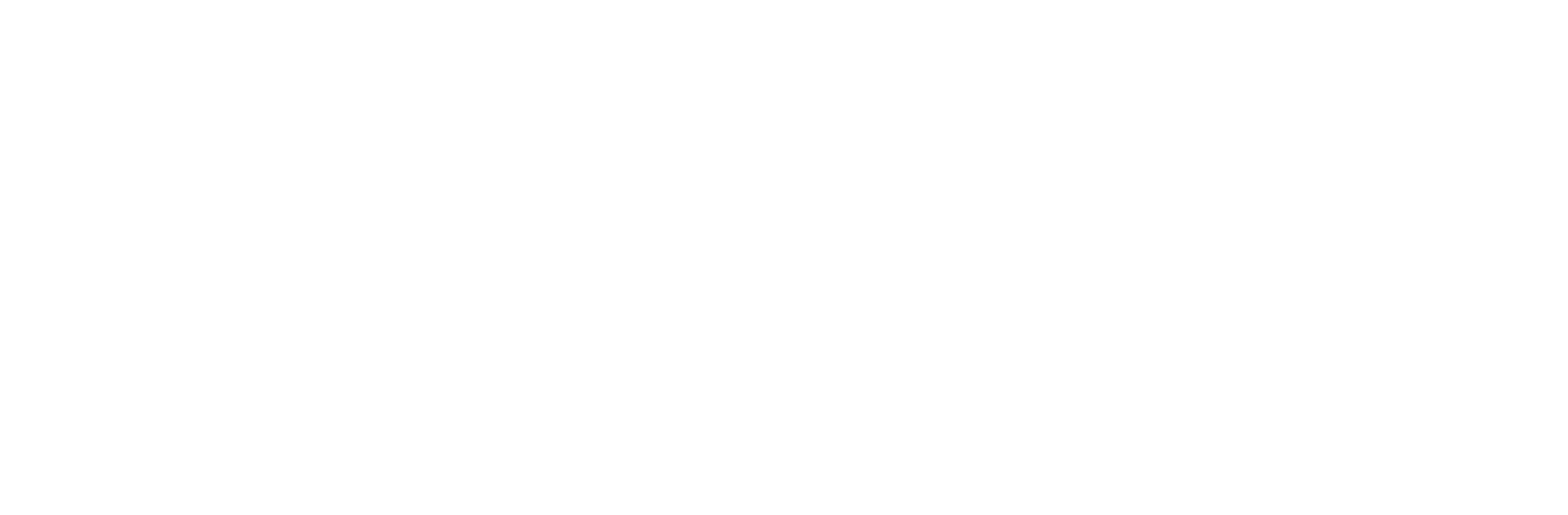Winter of Soul Festival
