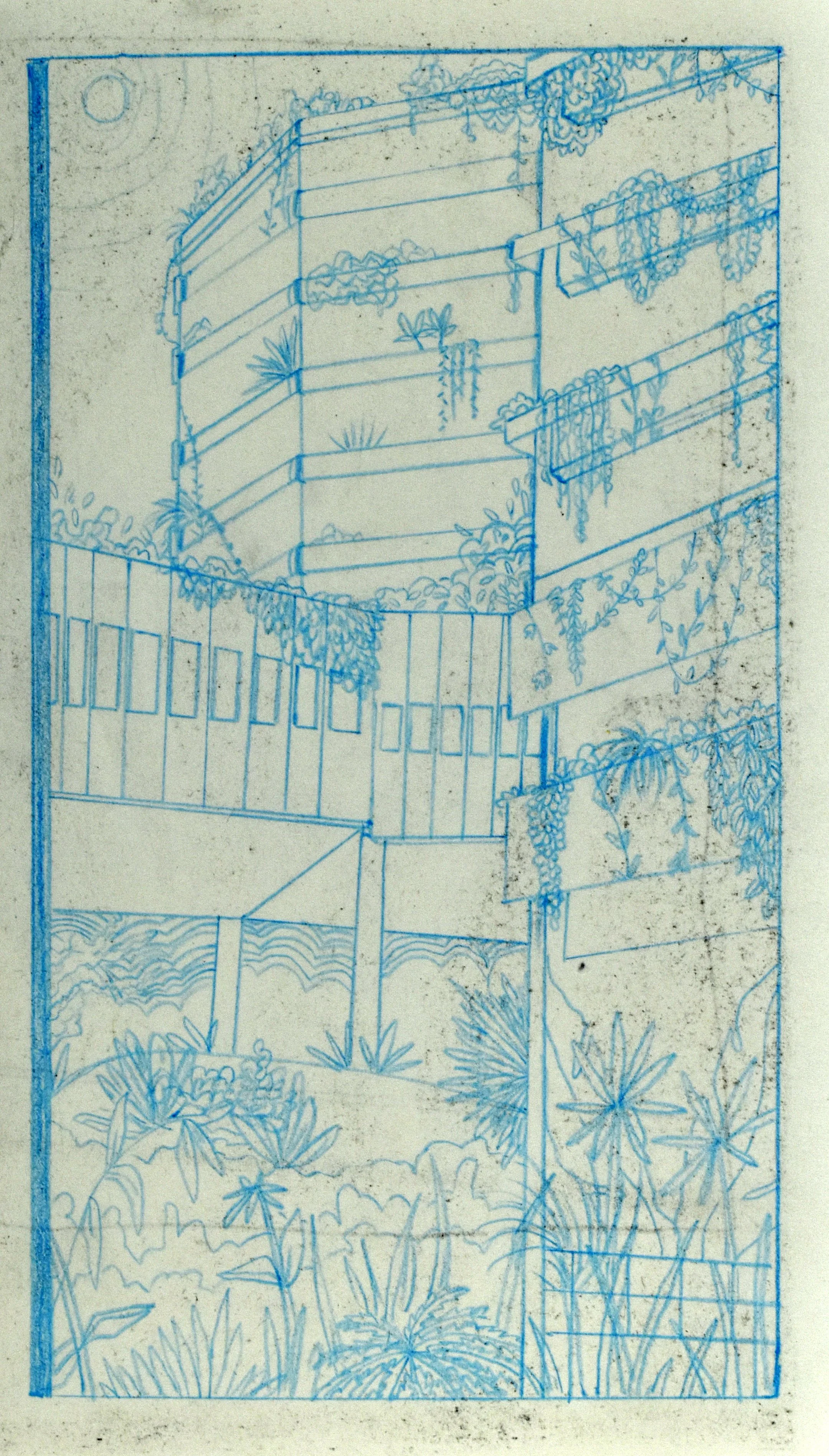 colored pencil, 2022