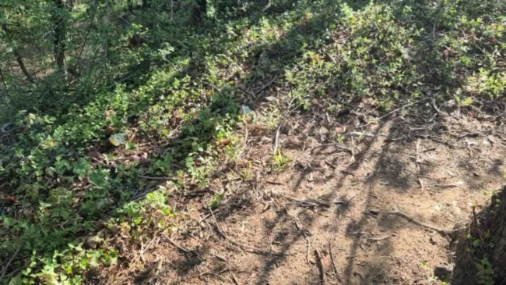 After 3 solid days, and 3 solid truckload, we were able to restore a wooded area in West Asheville.

Extremely grateful for the hard working team I have to make this happen.

#beforeandafter 
#junkremoval
#litteringisforlosers