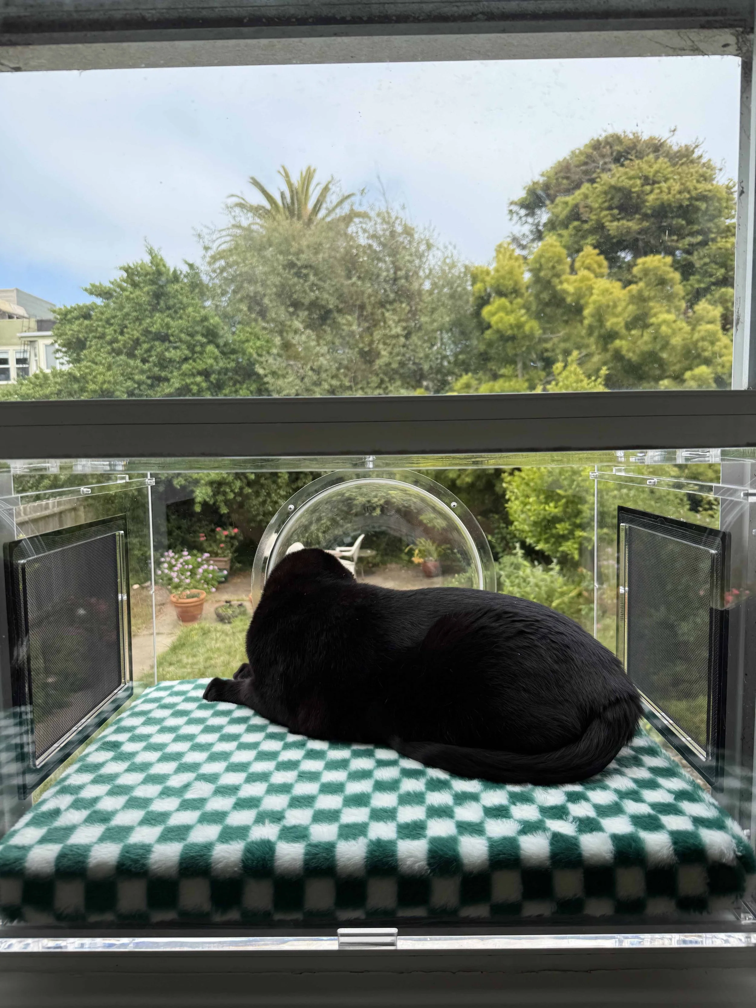 Best Window Catio for Apartments (2026 Guide)