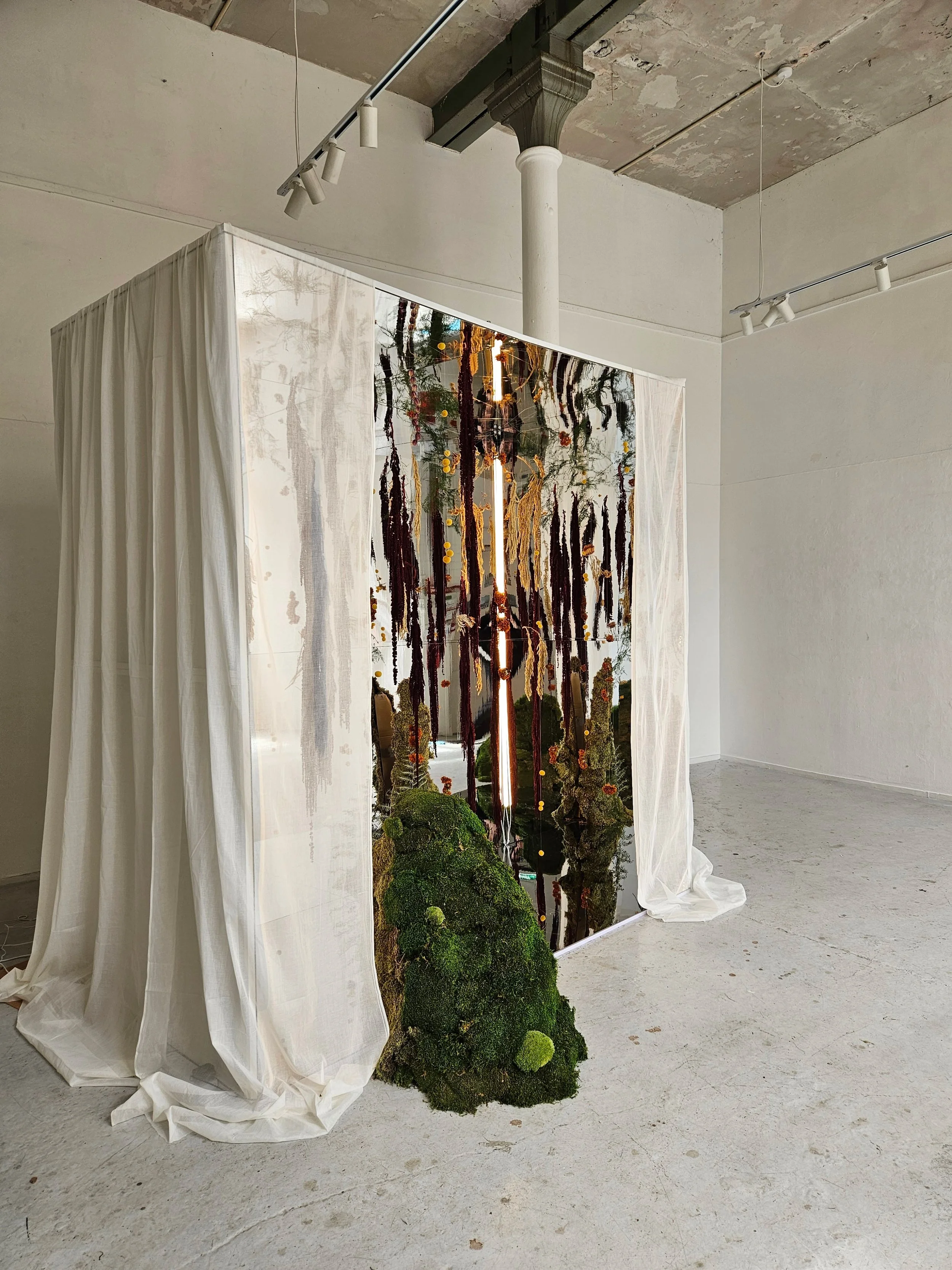 Immersive mirror box installation in Edinburgh with preserved botanicals, reflective panels and lighting for brand events, launches and luxury experiences.