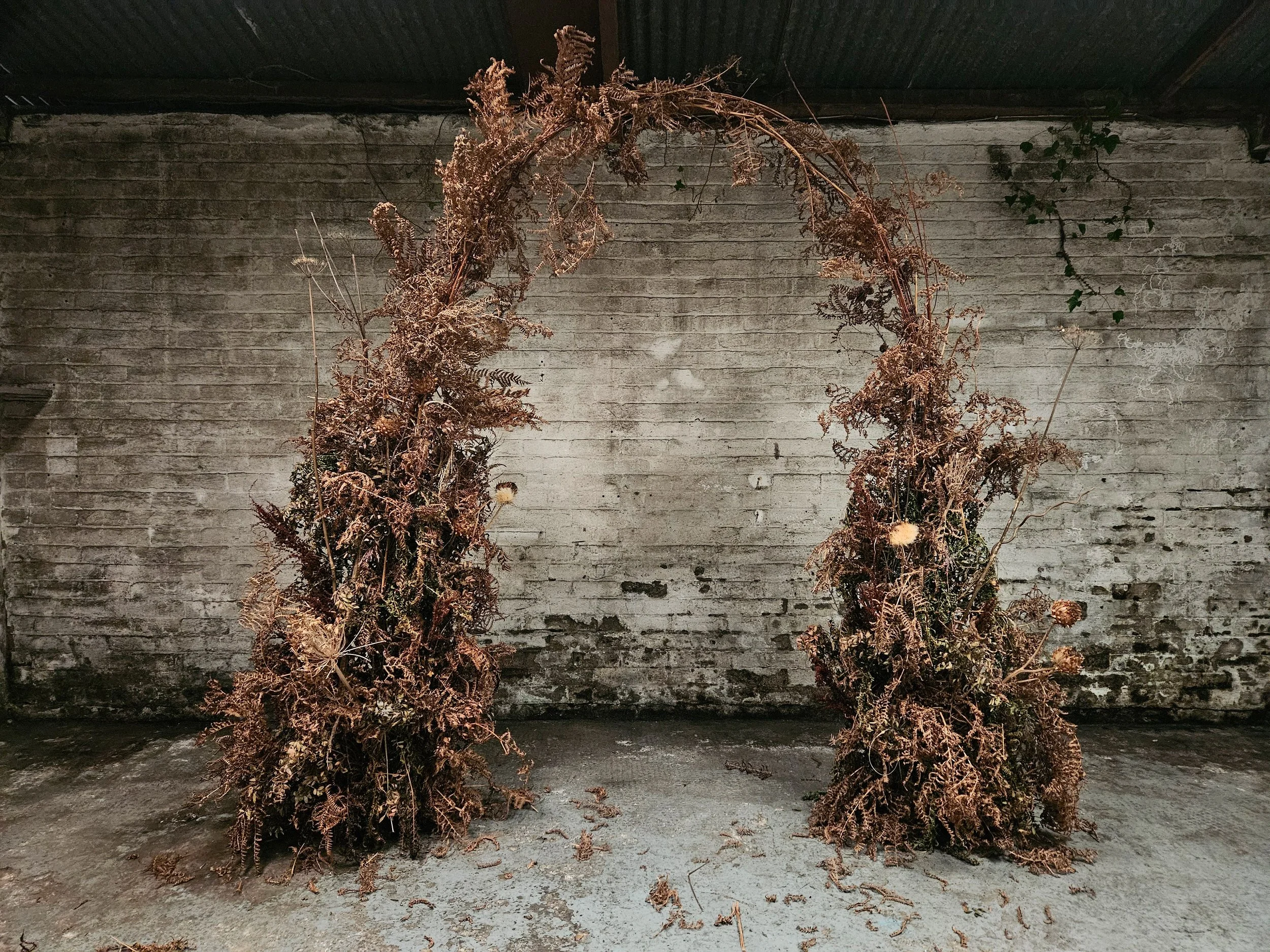 Foraged Scottish bracken installation forming a natural sculptural arch within a raw interior space
