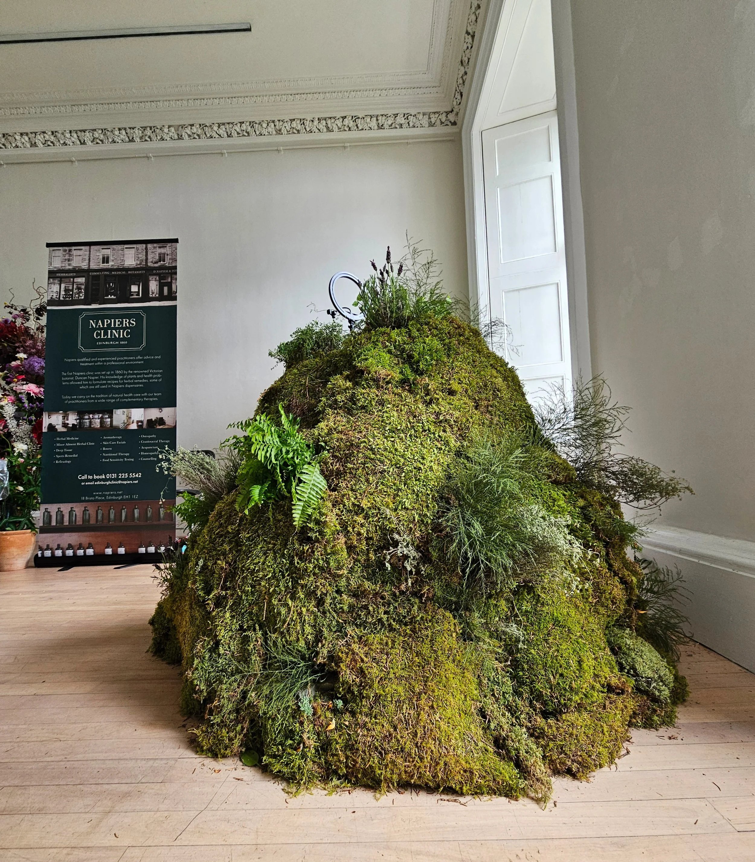 Moss mound installation created for Napiers Clinic at Fleurs de Villes, Royal Botanic Garden Edinburgh