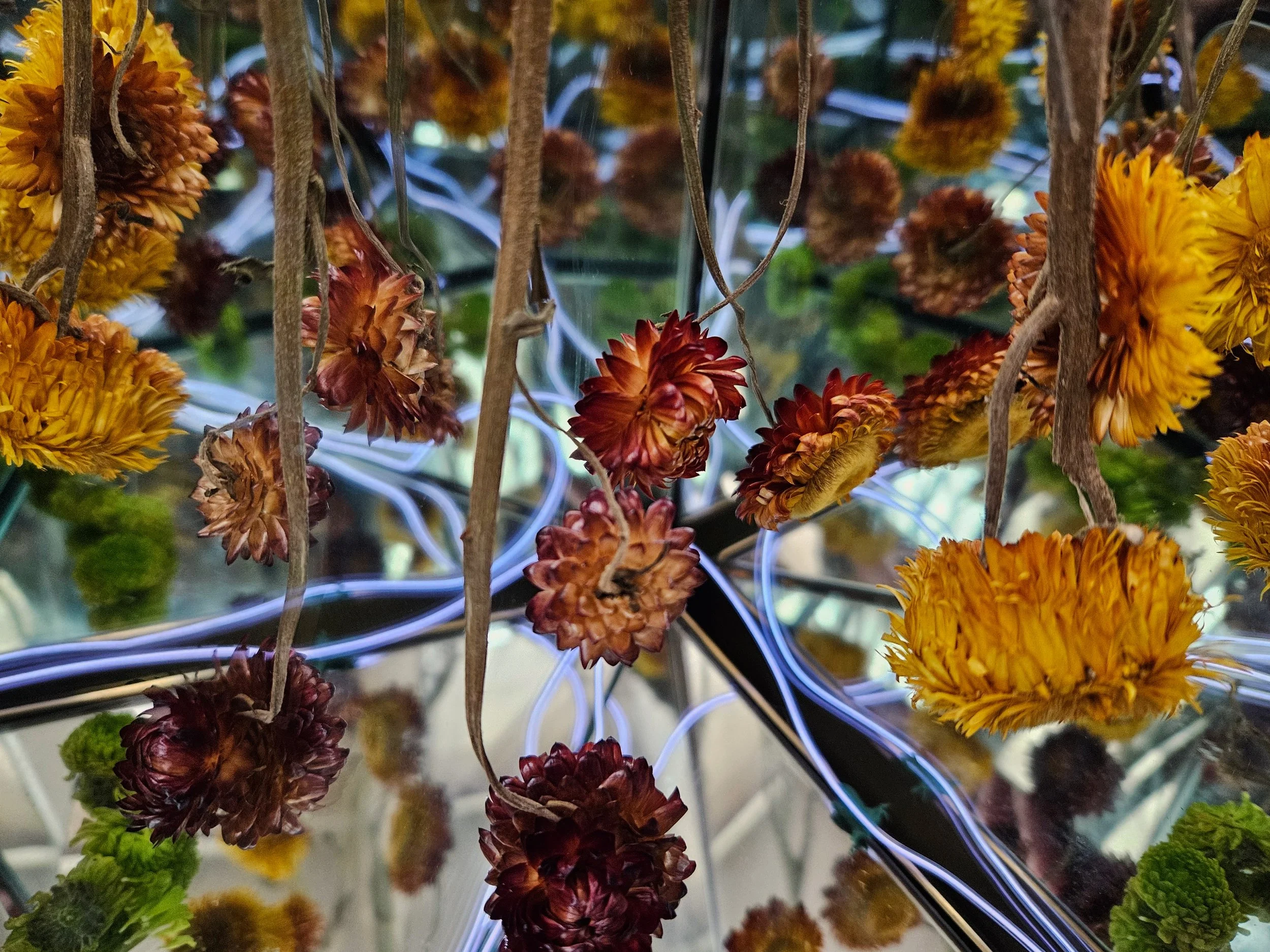 Immersive Floral Photo Booth for Hire Photobooth Edinburgh Nàdair Studio