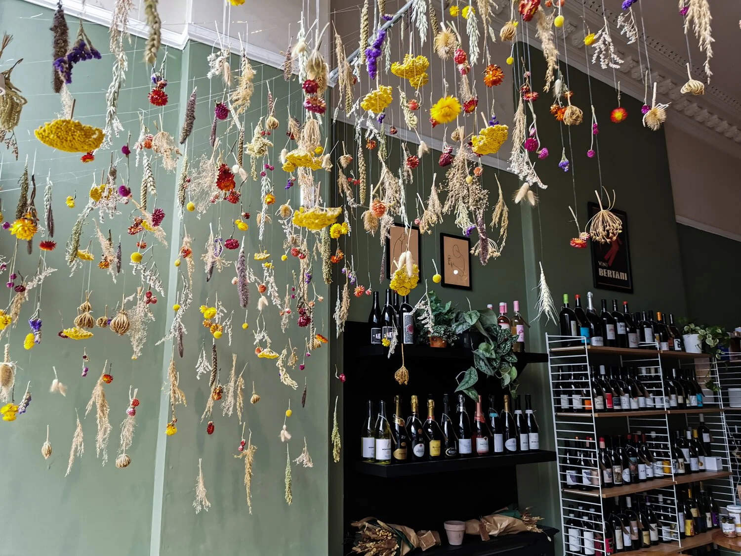 Suspended dried flower canopy installation created for WineKraft in Canonmills Edinburgh, forming an immersive floral ceiling display within the shop interior