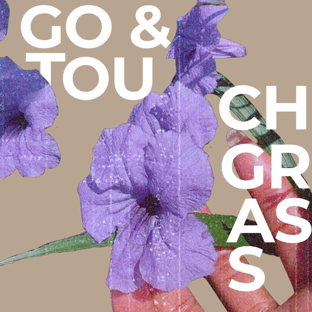 Go and TOuch Grass