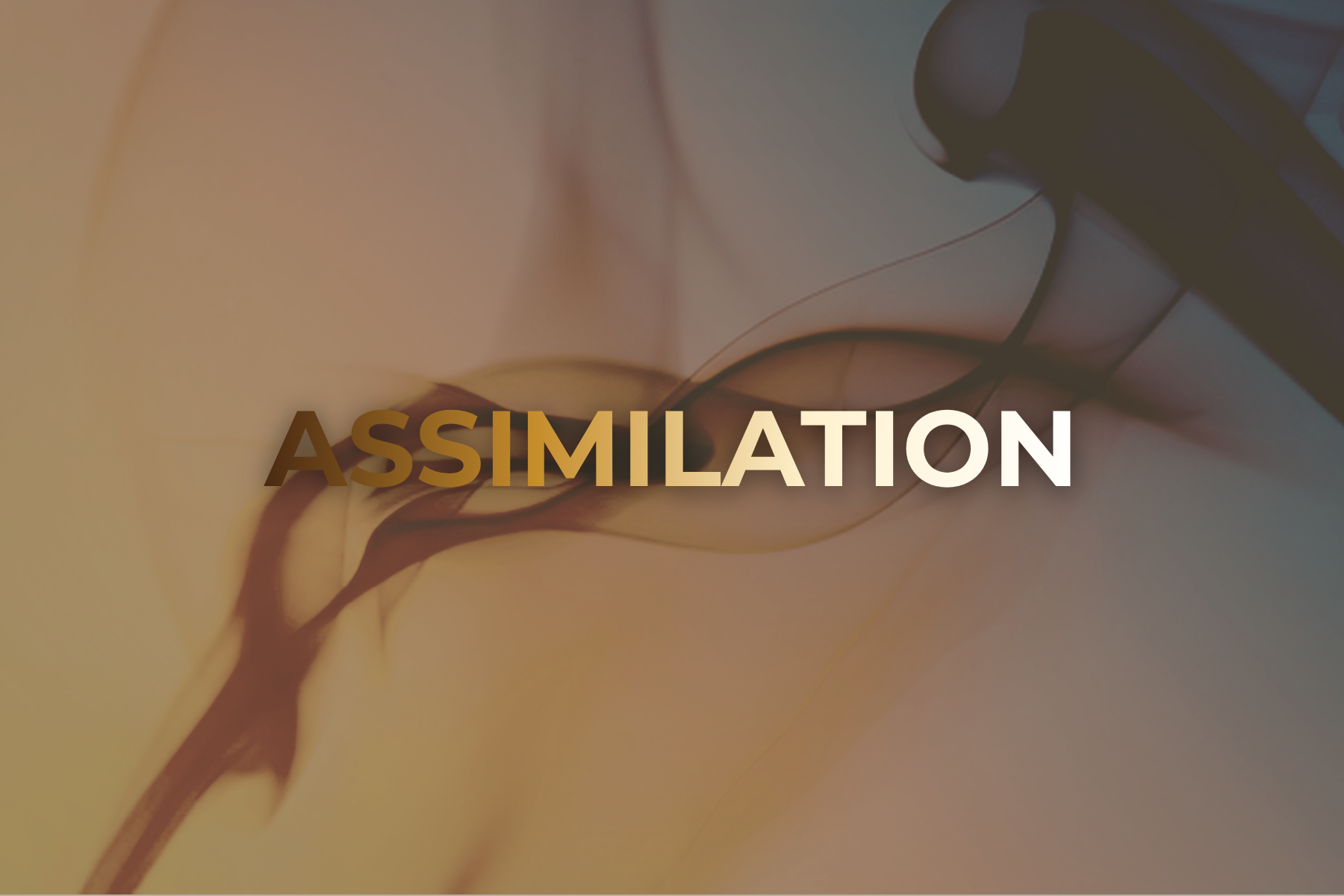 Assimilation: Is it Worth it?