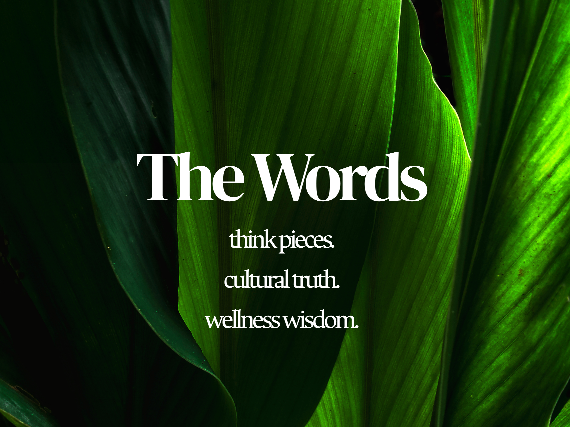 the+words.4.png