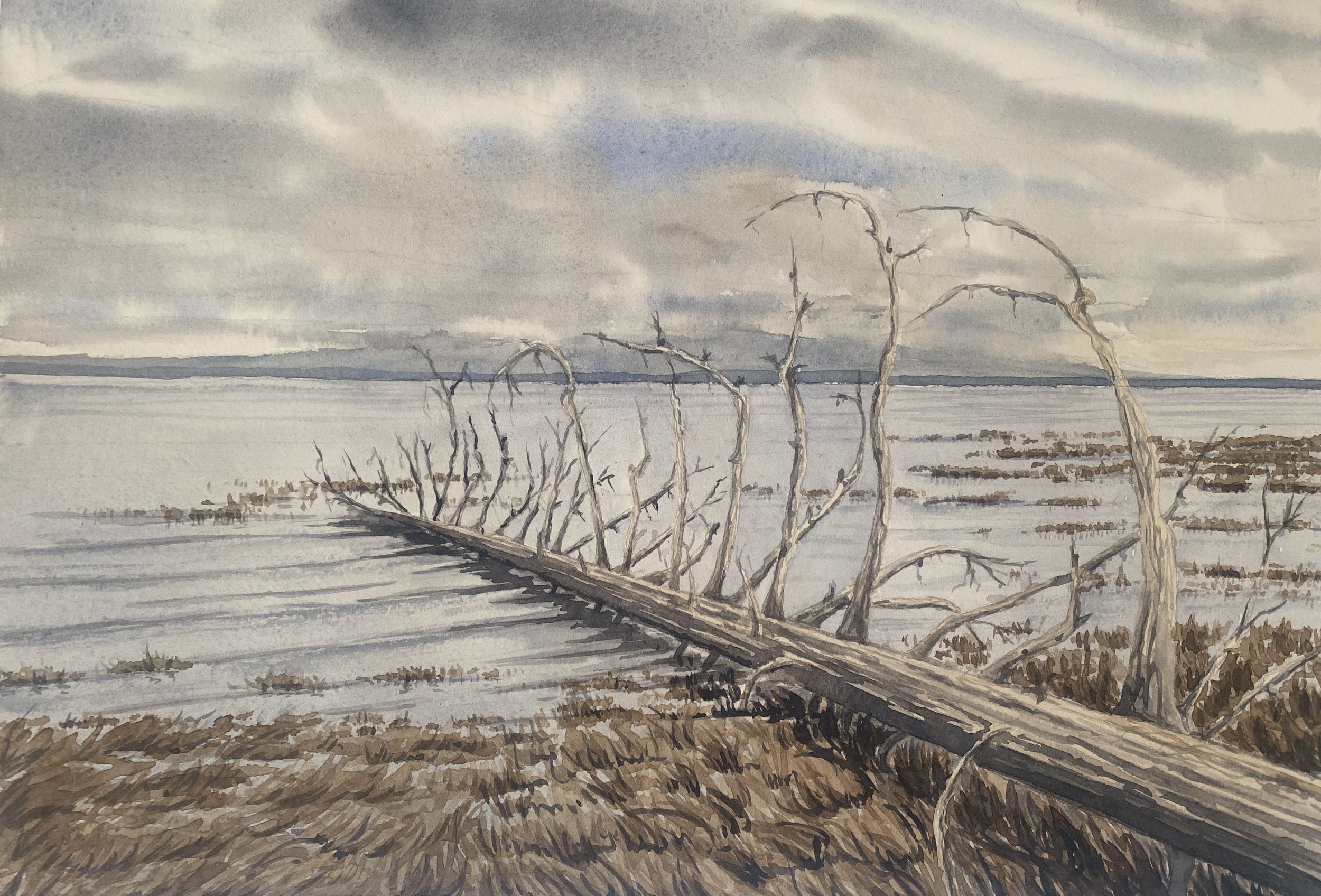 watercolor on paper, 2025, 9"x13"