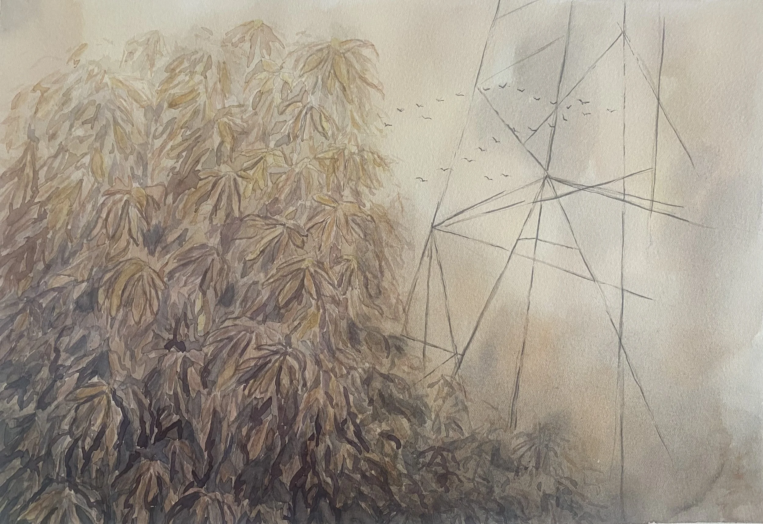 watercolor on paper, 2025, 9"x13"