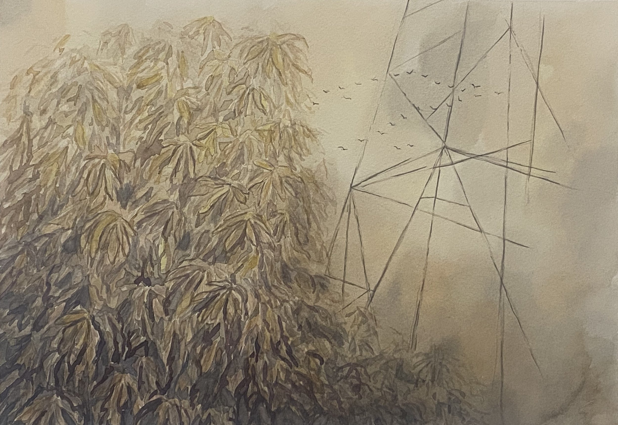 watercolor on paper, 2025, 9"x13"