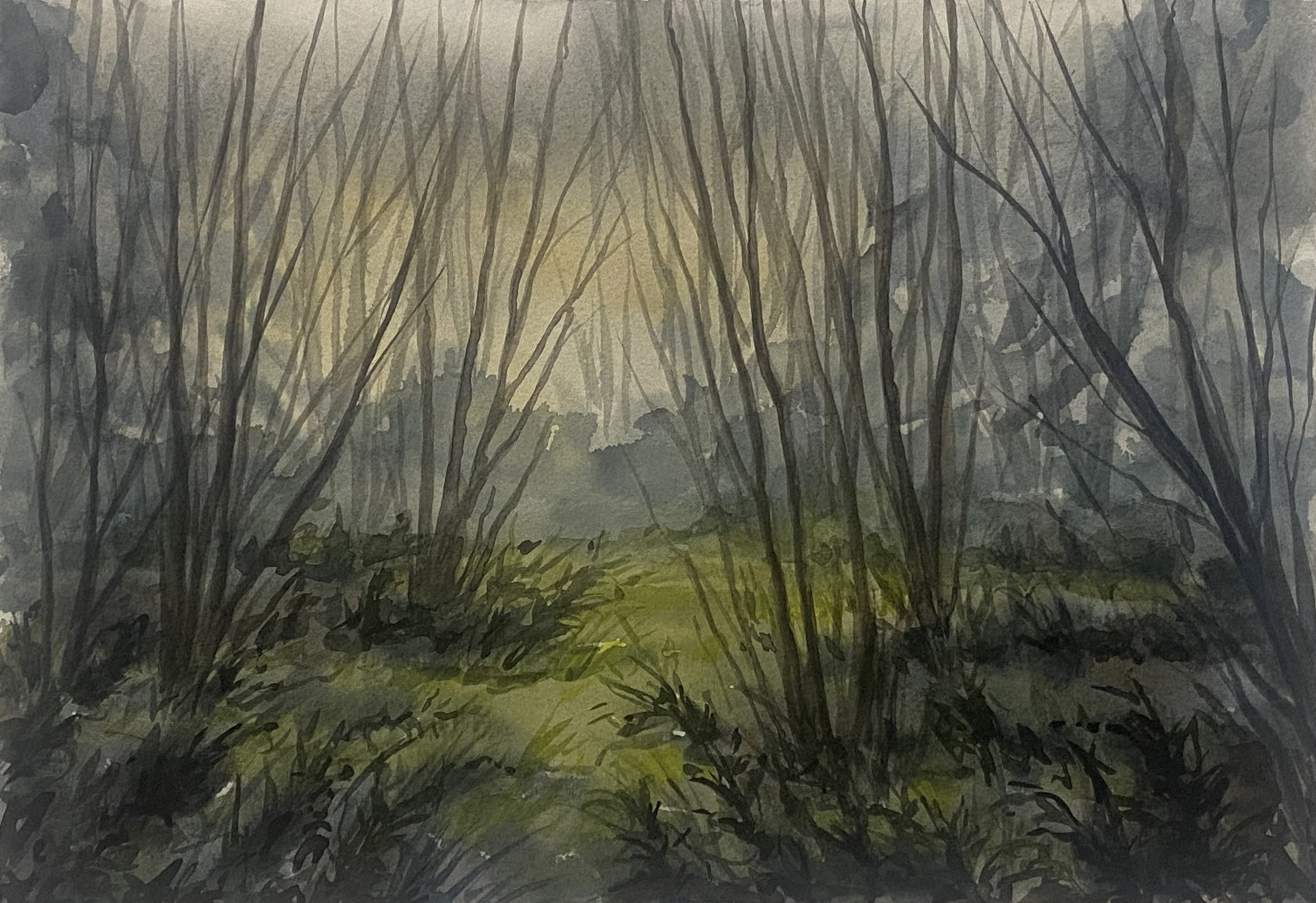 watercolor on paper, 2025, 9"x13"
