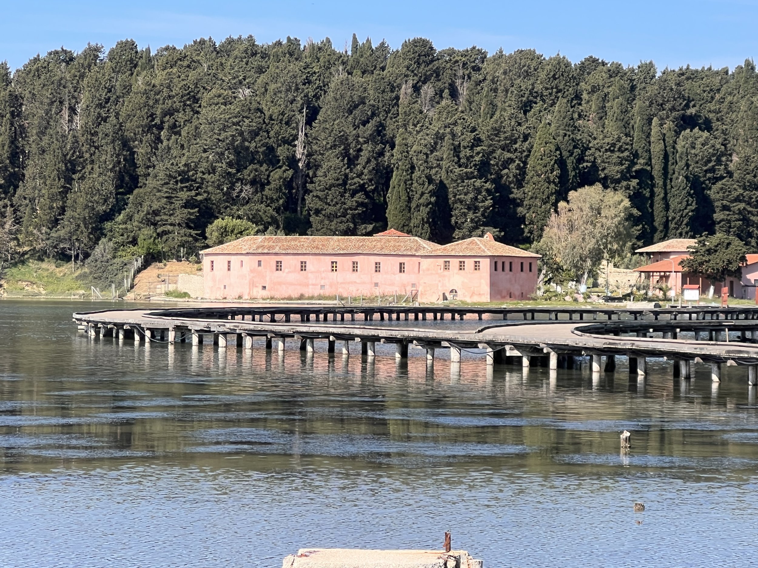 IMG_4725.jpeg