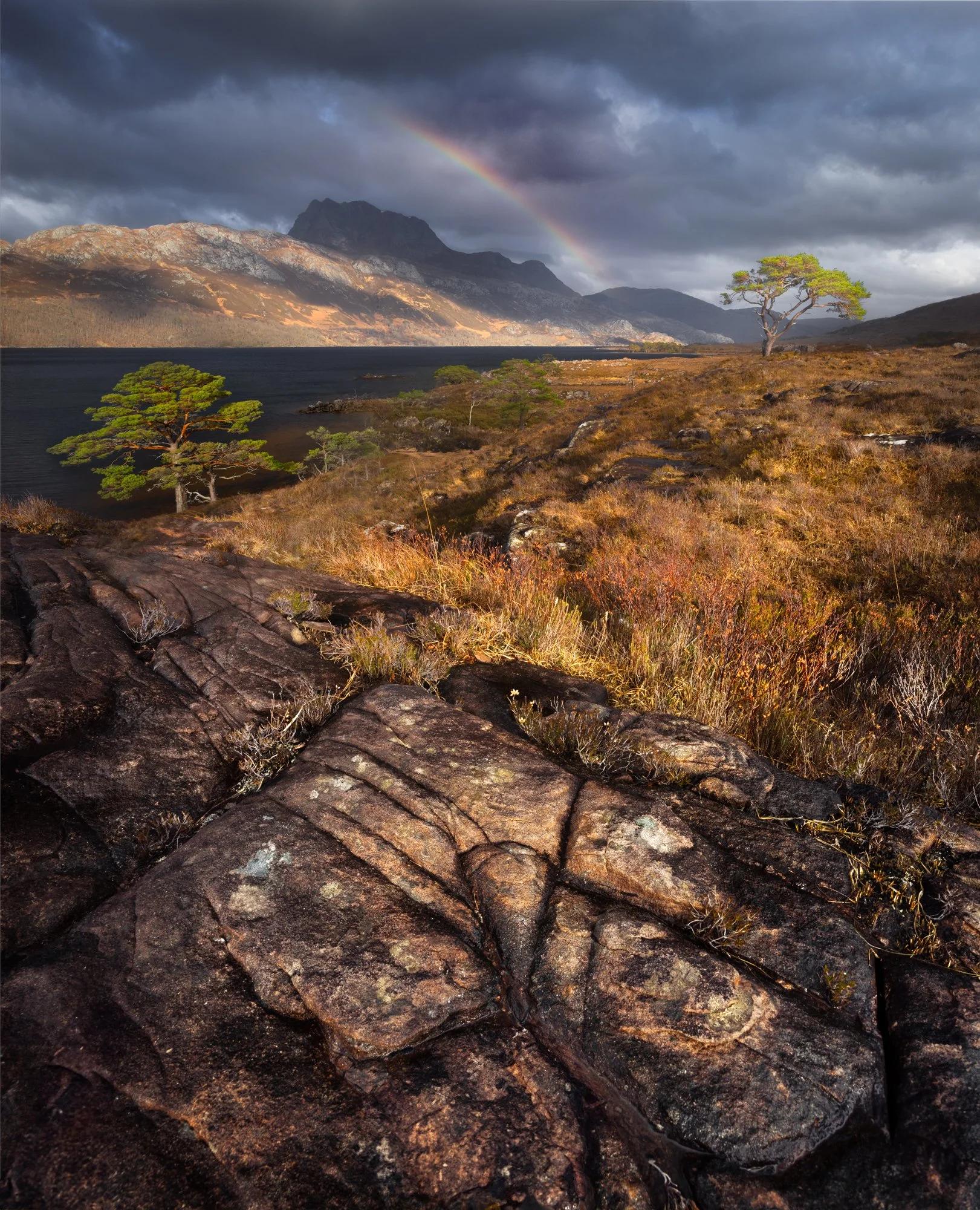 Golden light bathes the rugged landscape of Loch Maree, highlighting textured rocks in the foreground and vibrant autumnal hues across the heathland. In the distance, the mountain Slioch rises dramatically beneath dark, moody clouds, while a vivid ra