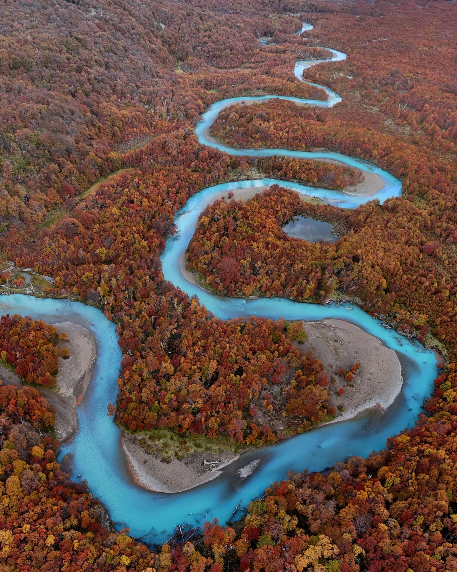 Rio de las Vueltas aerial view, Patagonian autumn forest, turquoise glacial river, drone landscape photography, vibrant fall colors, El Chaltén Argentina, nature in Patagonia, travel photography
An expansive aerial shot highlights the twisting Rio de