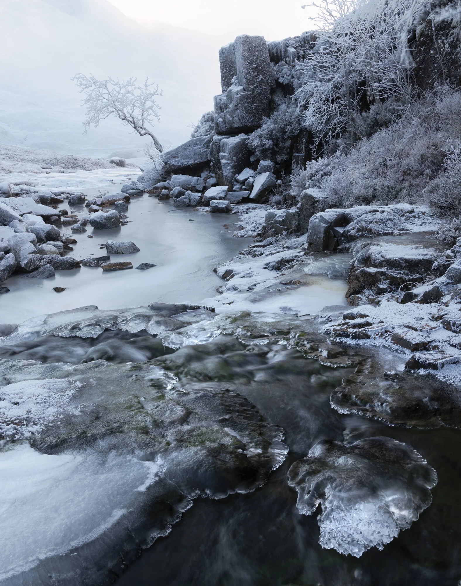 A frozen landscape in Glencoe, Scotland, beautifully framed by a frosted tree and icy stream under soft afternoon light. The intricate patterns of hoar frost and ice, combined with subtle hints of color in the rocks and water, create a striking yet s