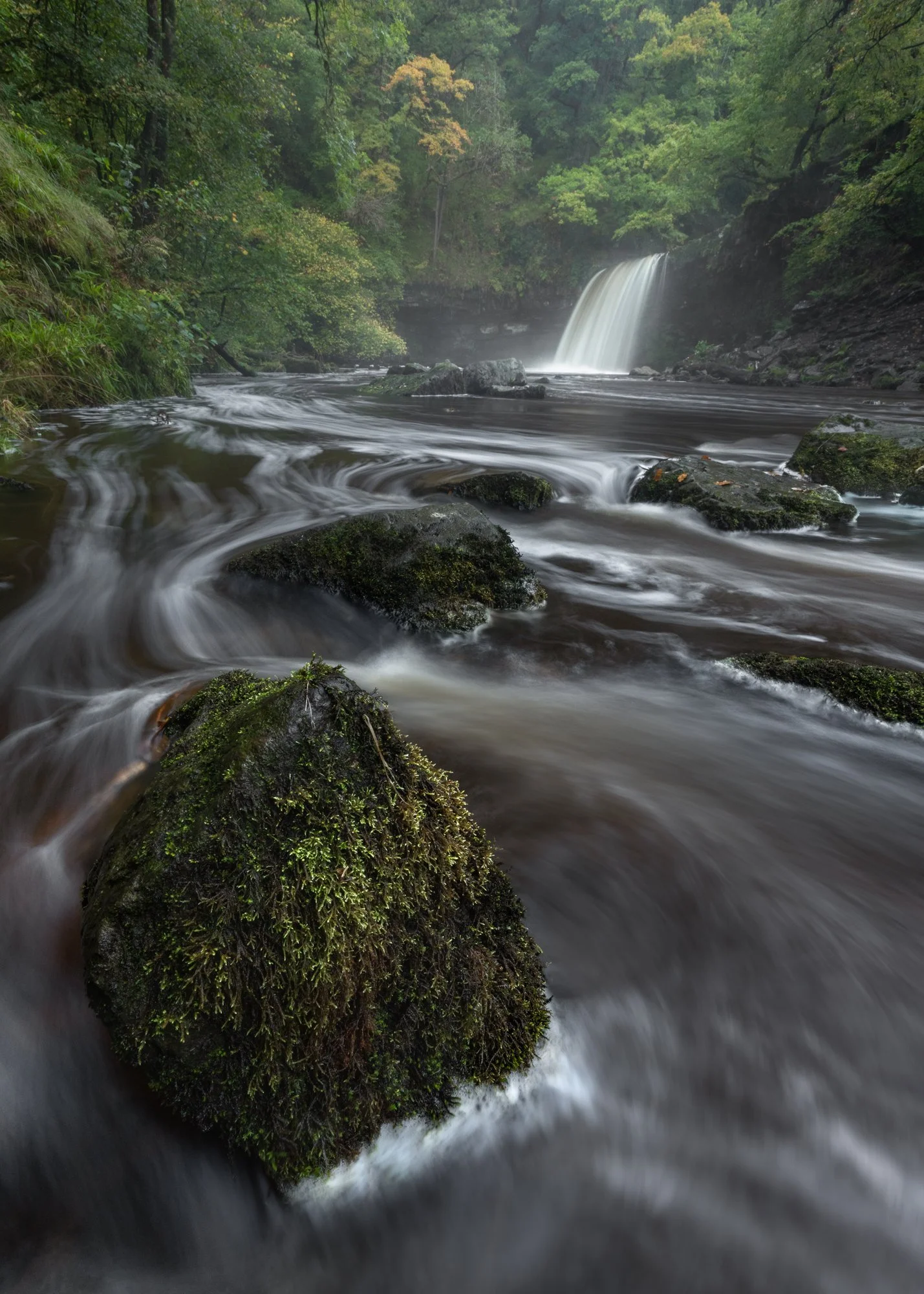 The lush greenery and flowing water of Bannau Brycheiniog create a serene yet dynamic scene, with the powerful Sgwd Gwladys waterfall in the distance. Rain from the previous night adds depth and motion to the river, forming swirling patterns around m