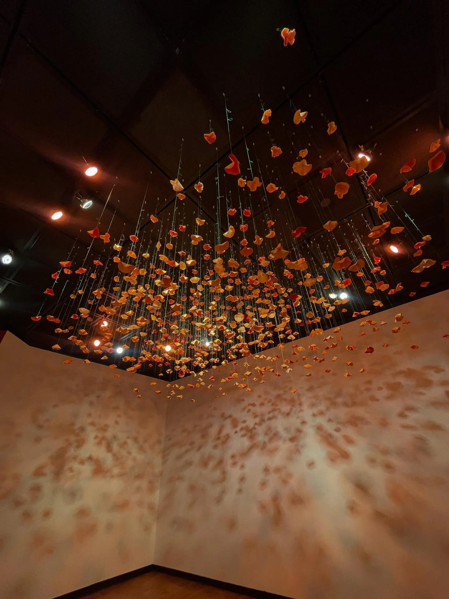 Spectacular @leahmatafragua !