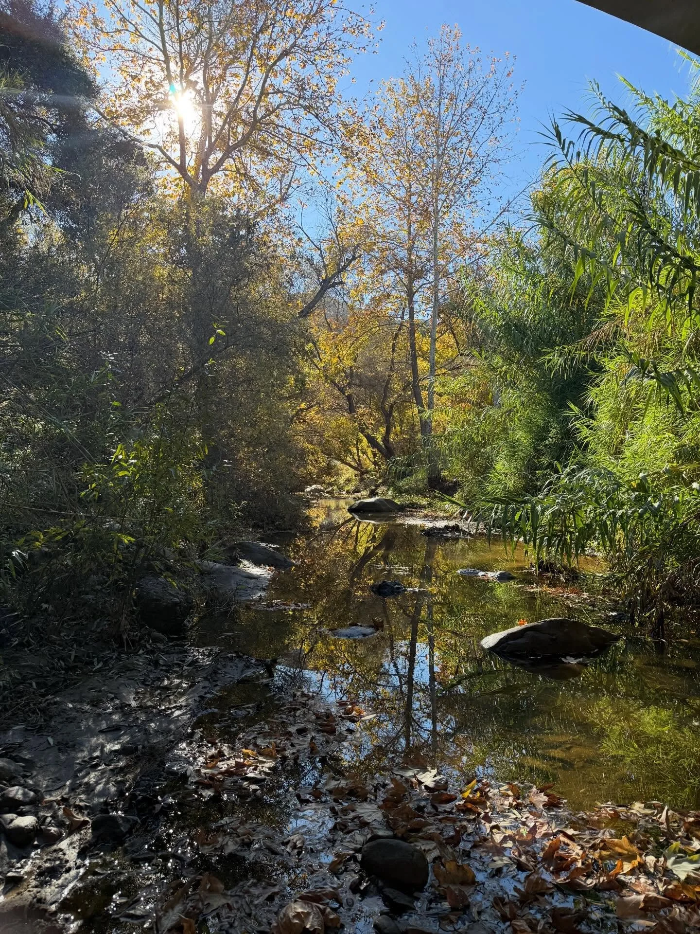 Winter in Topaa&rsquo;nga.