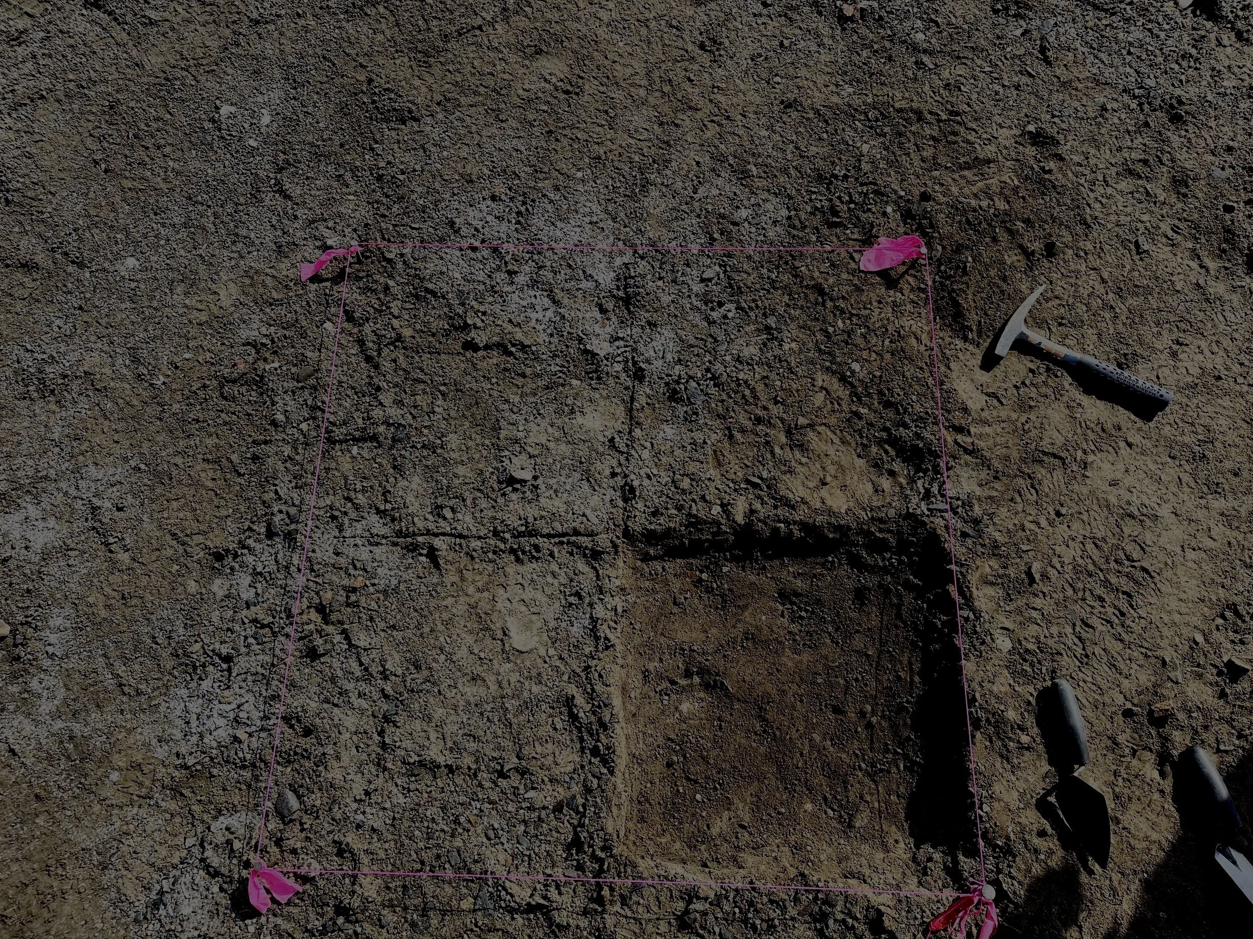 A section of dirt or soil with a pink string boundary marked on it, secured with pink flags or ribbons at the corners, and a hammer lying nearby.