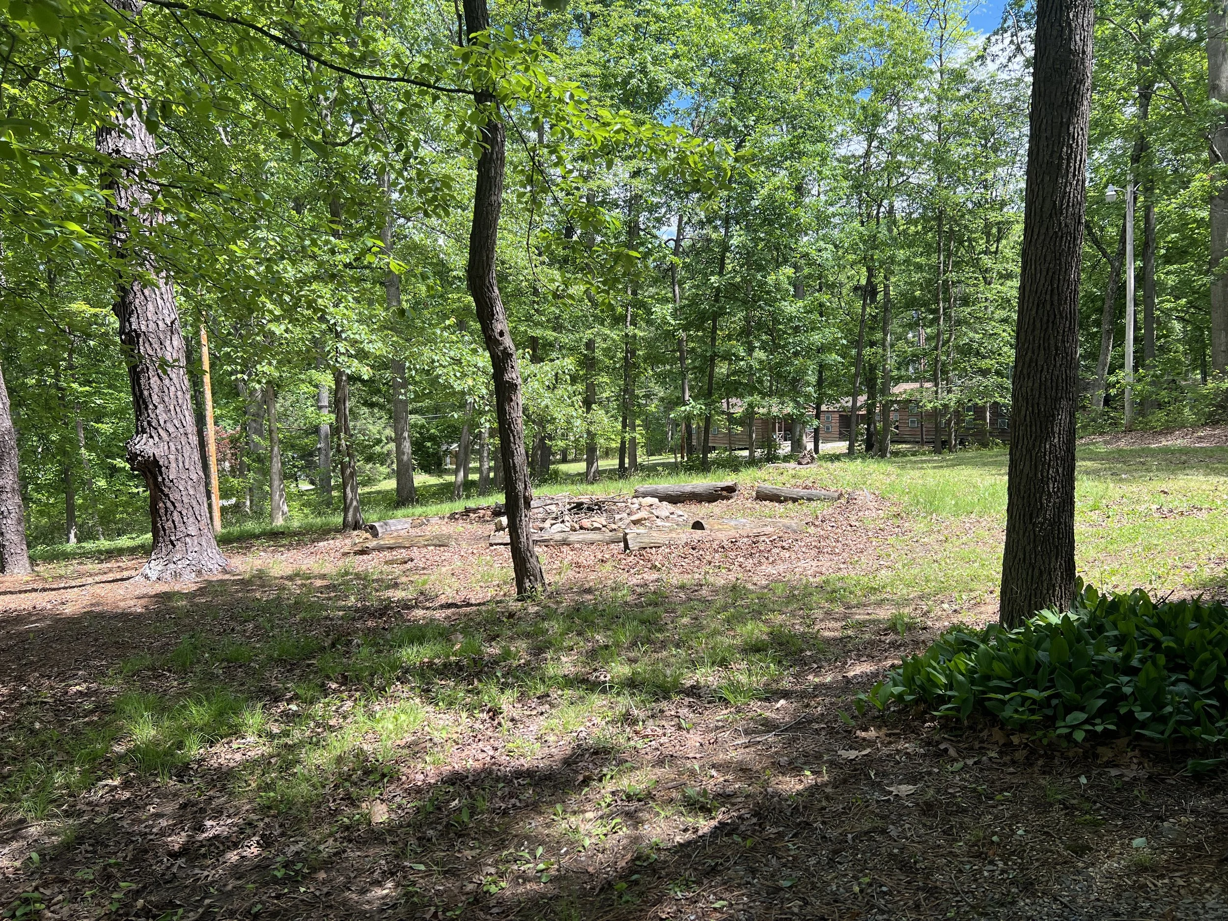 A wooded backyard with tall trees, a fire pit in the center, and a house visible in the background through the trees.