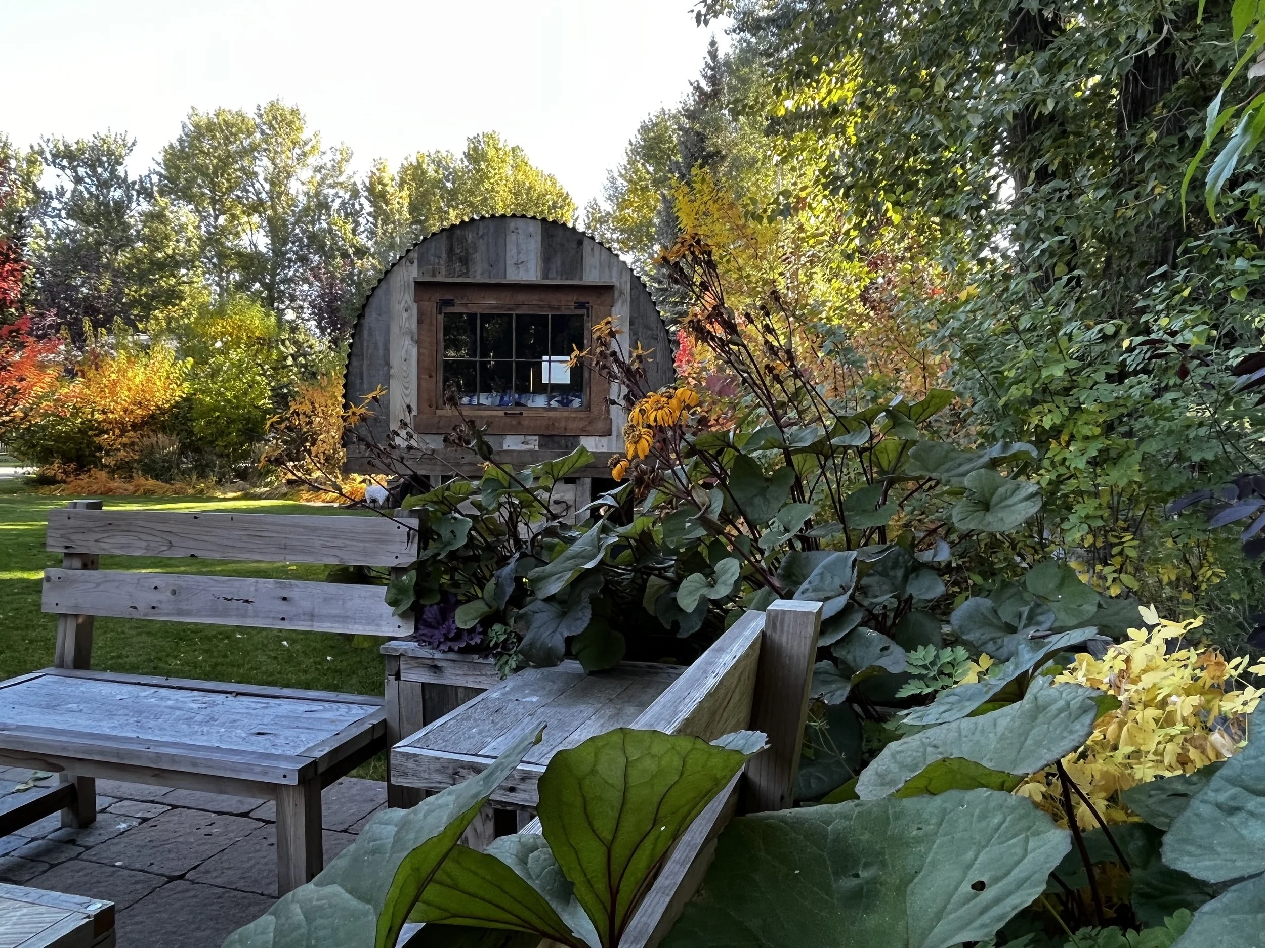 Oranssi project: studio shed