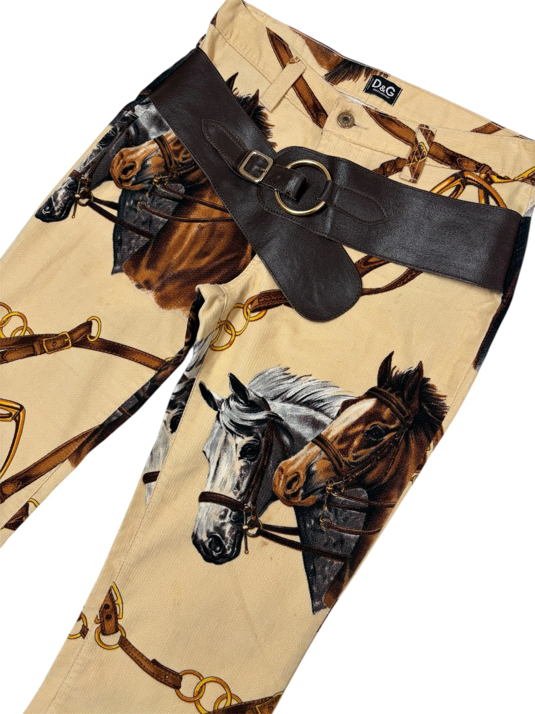 d&g-equestrian2.JPG
