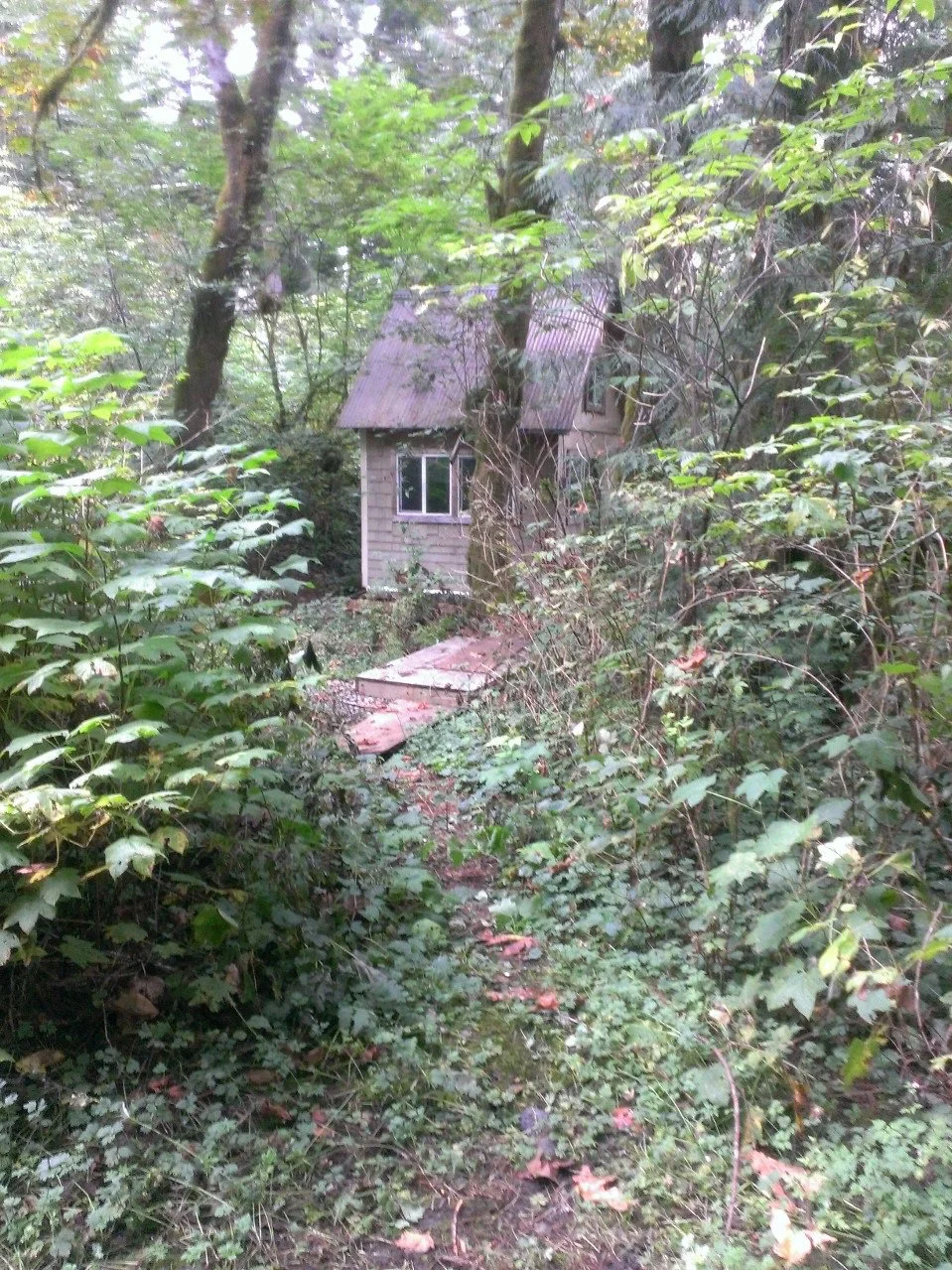 The cabin as seen from the road, shortly after buying it. Rotten plywood serves as a bridge
across the muck. (Credit: Patrick Hutchison)