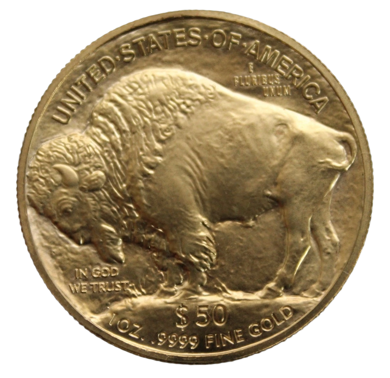 American Gold Buffalo back.png