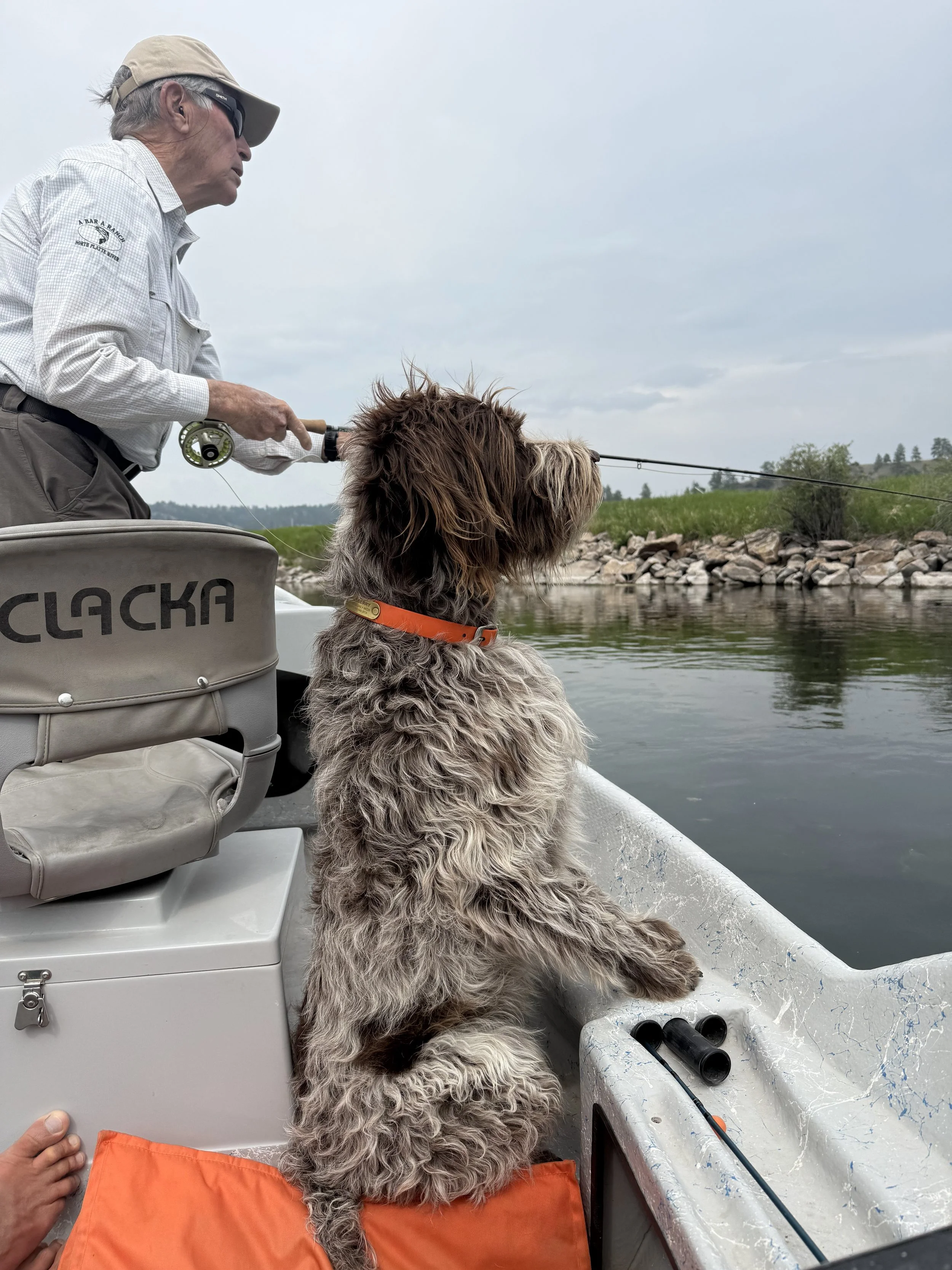 Huckleberry helps watch bobbers