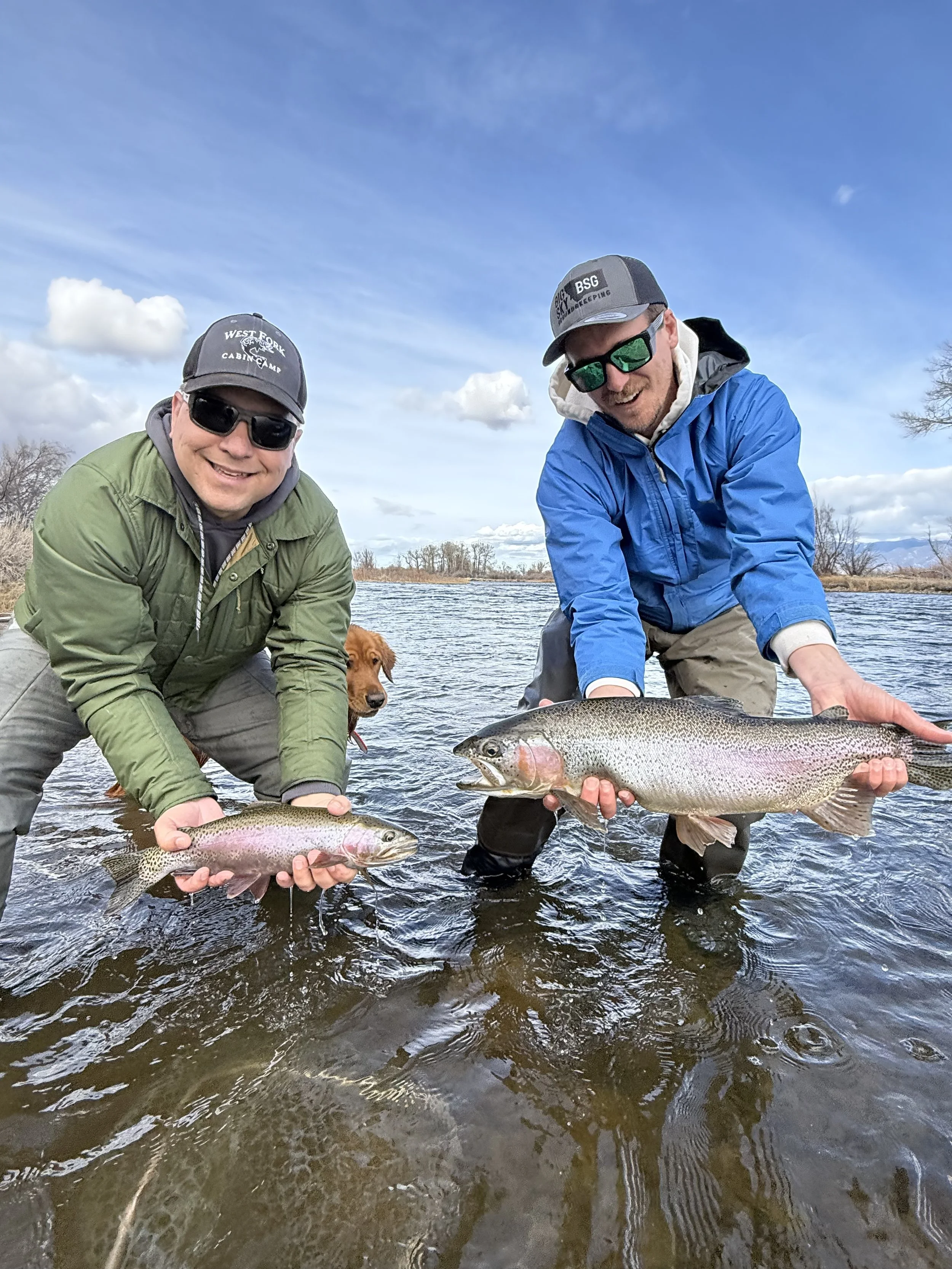 Two clients holding rainbow trout caught on the upper madison river in Montana