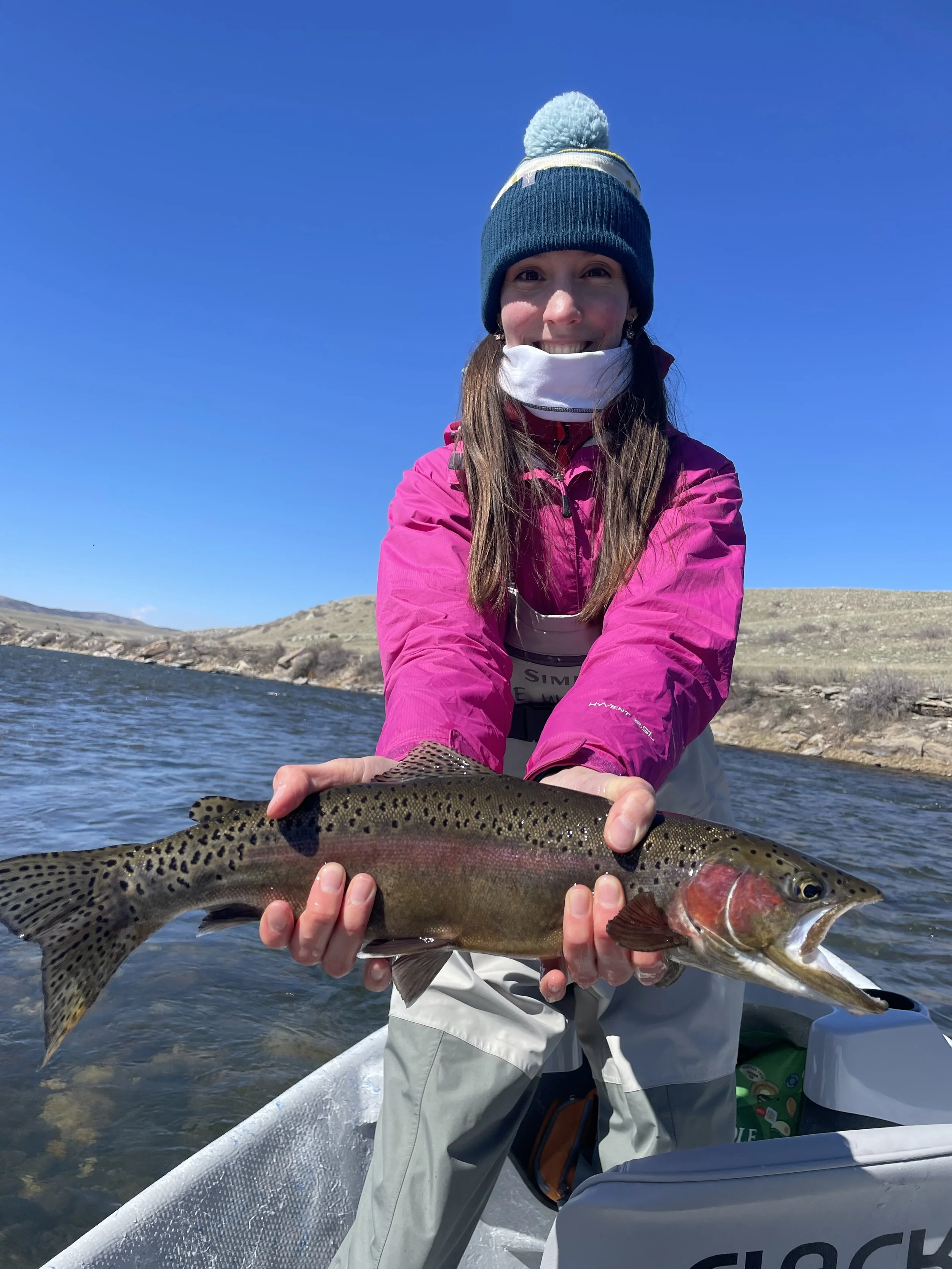 Client holding a large rainbow trout on the upper madison river.